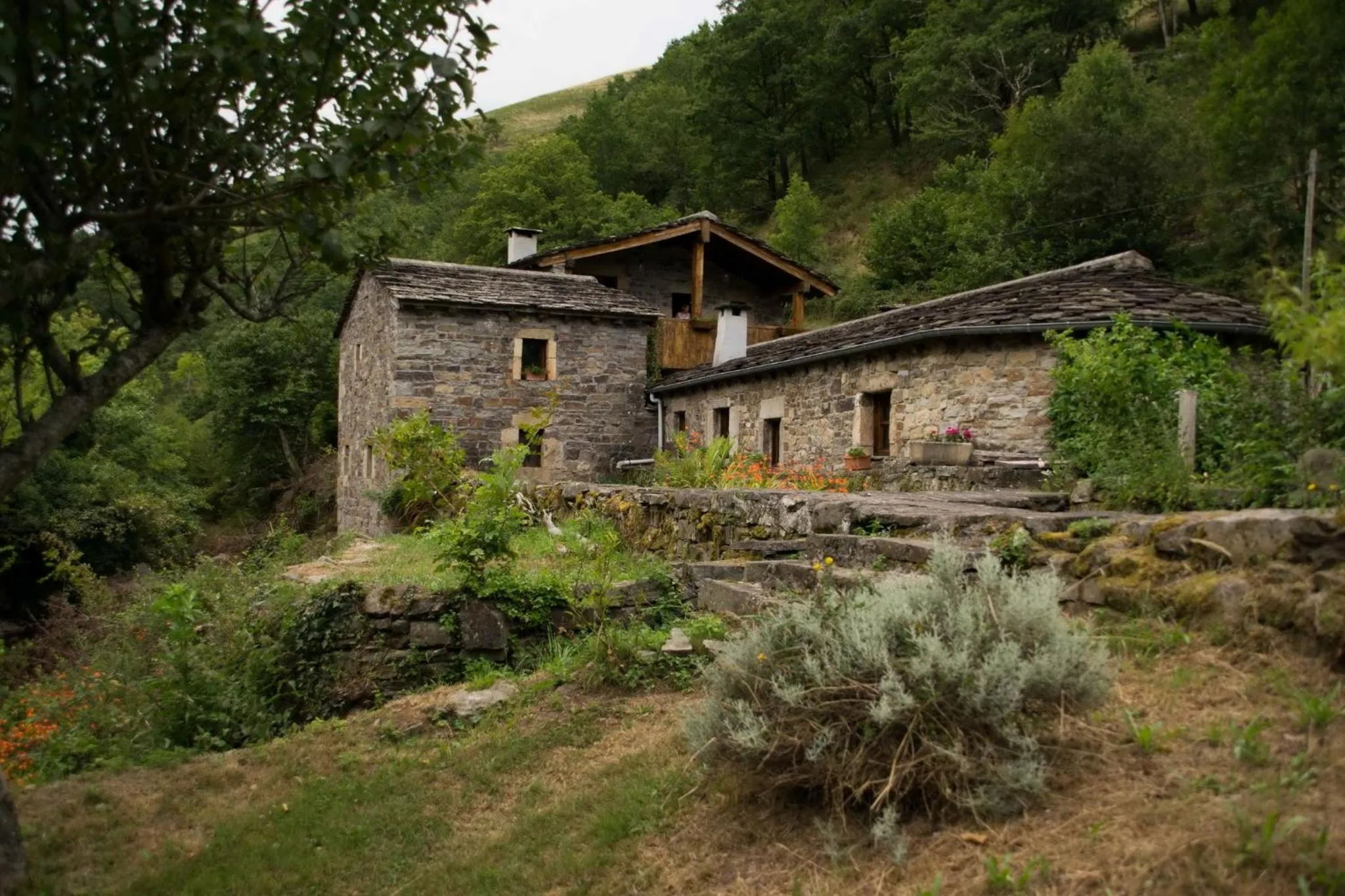 Molino de Yera