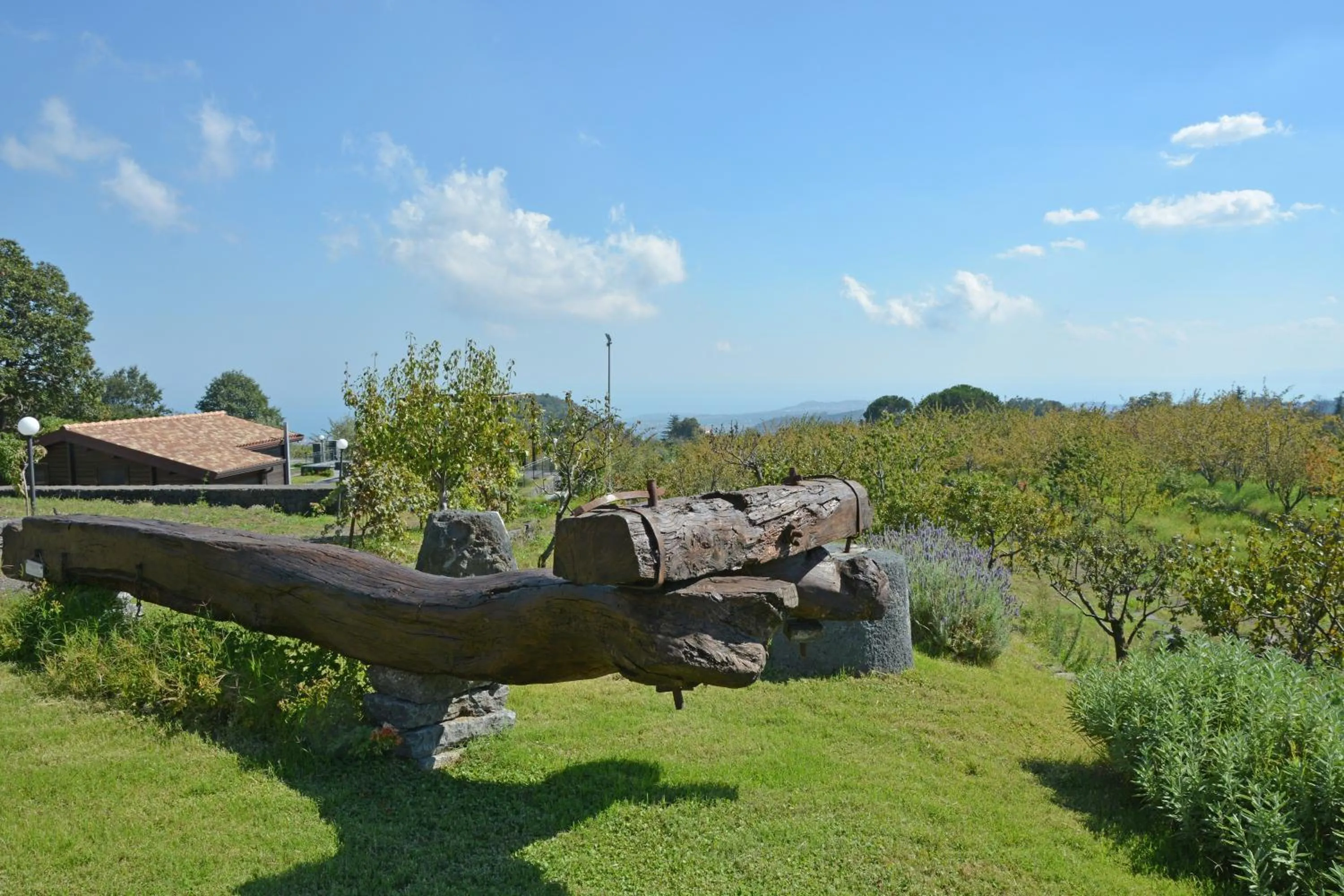 Natural landscape in Cirasa Luxury Country House