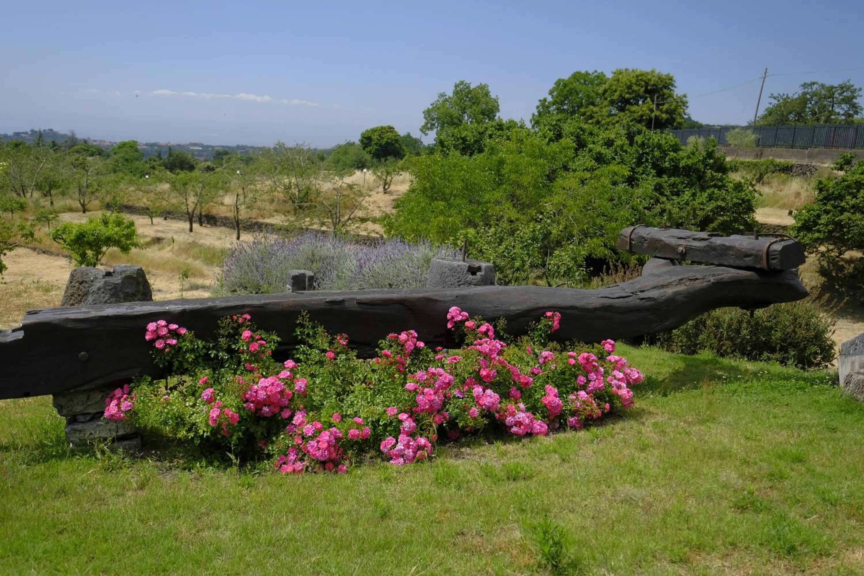 Garden in Cirasa Luxury Country House