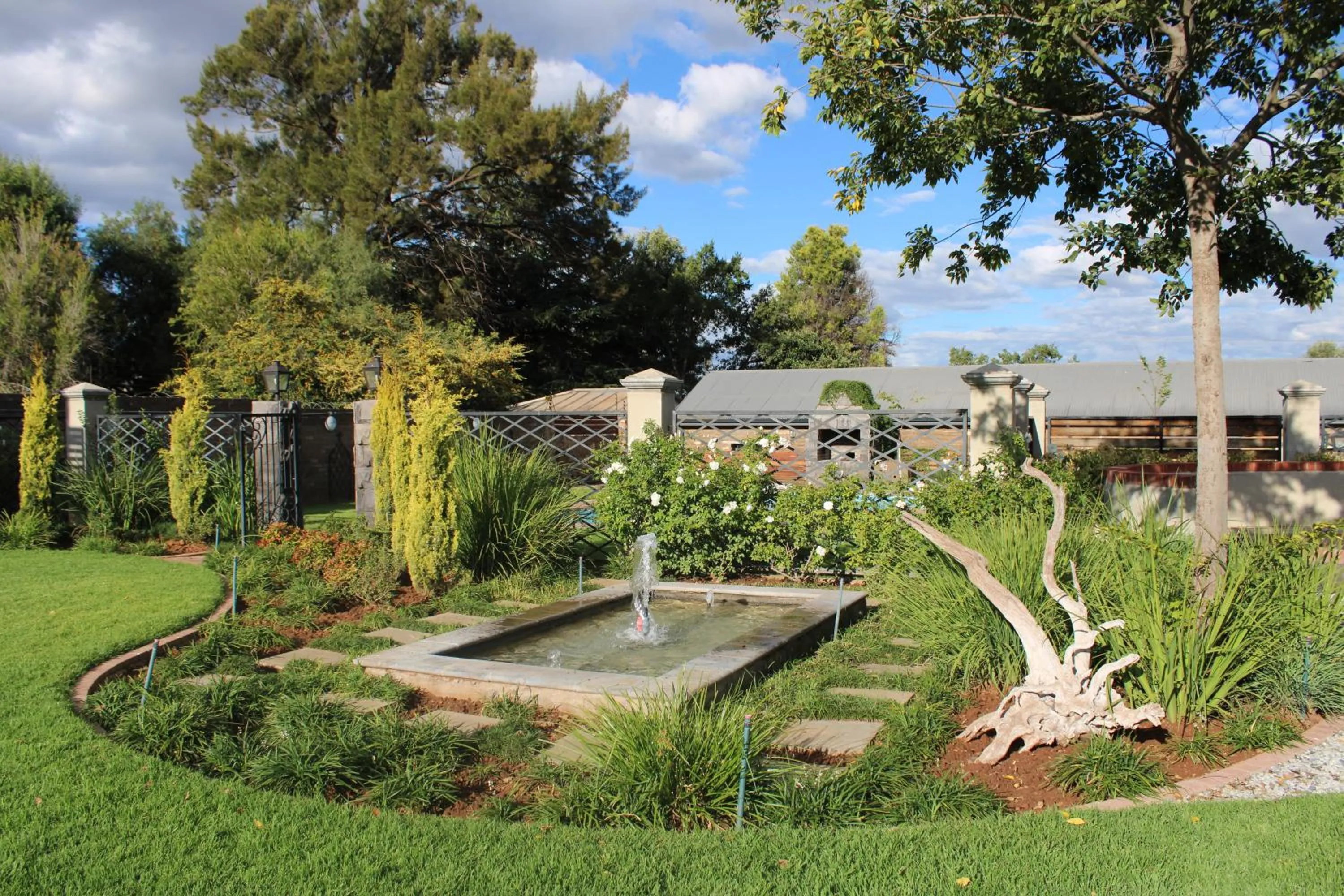 Garden in d Olive Rose Boutique Hotel Danielskuil