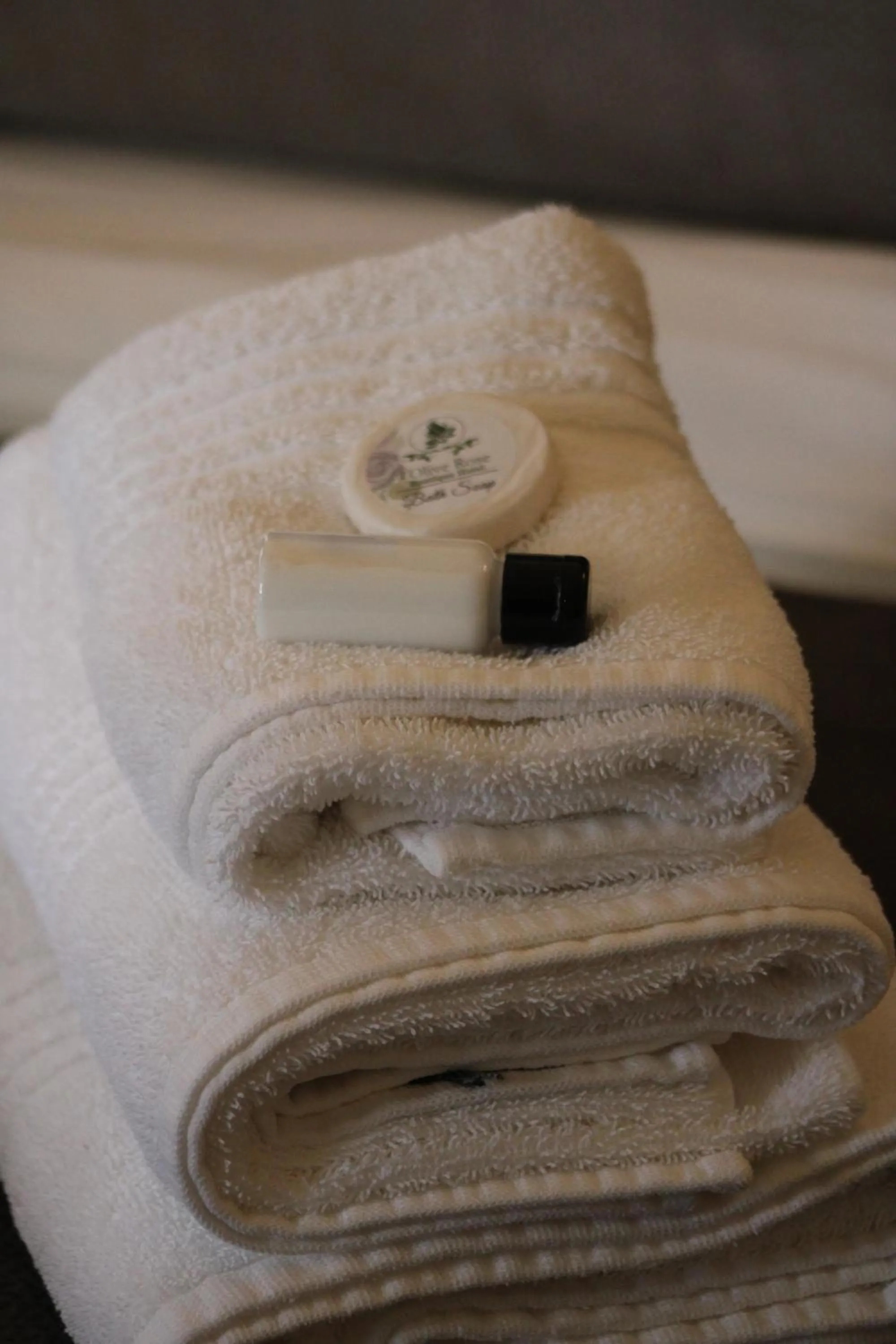 towels in d Olive Rose Boutique Hotel Danielskuil