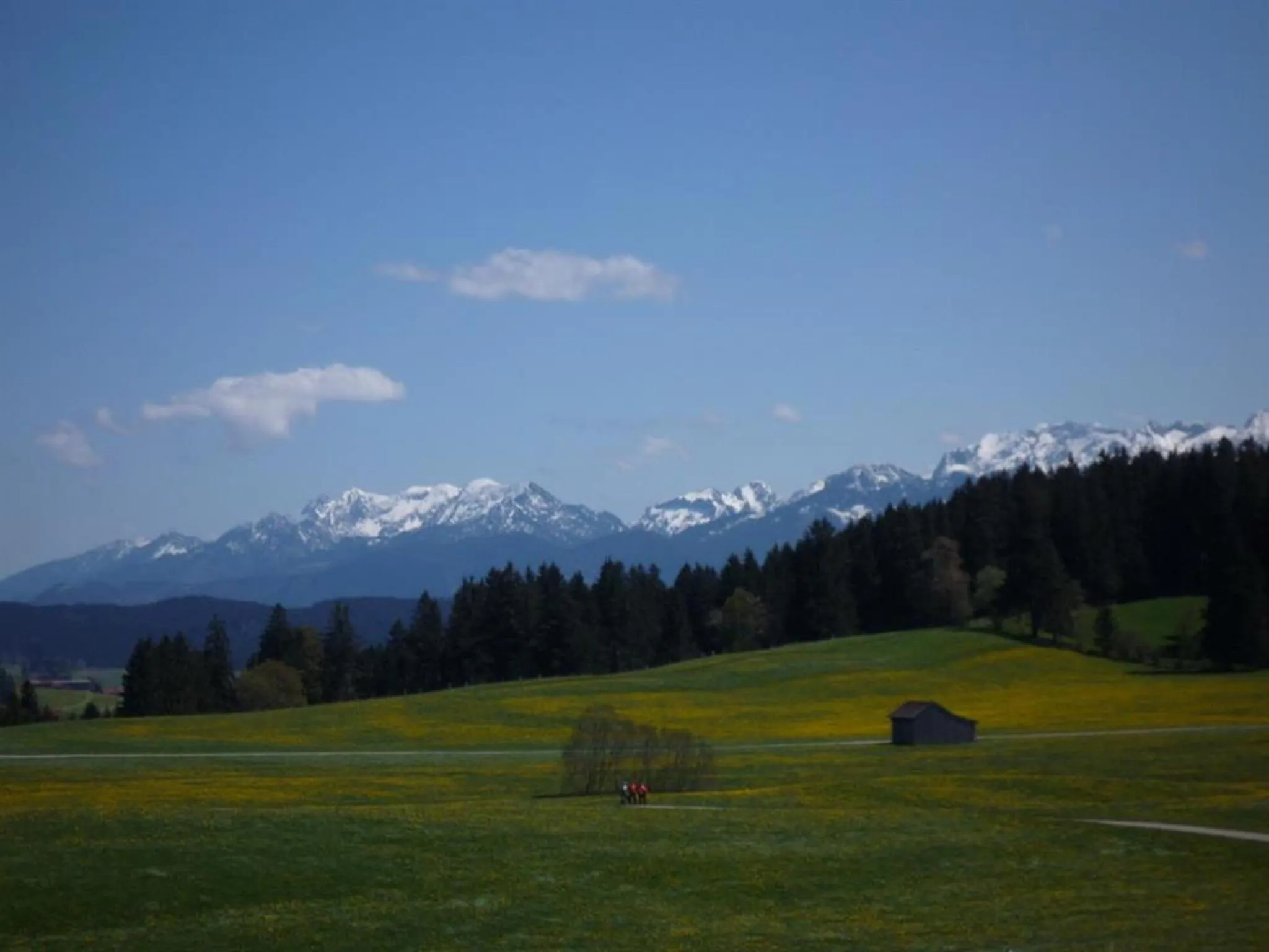 Natural landscape in Ferienhof Uhlemayr