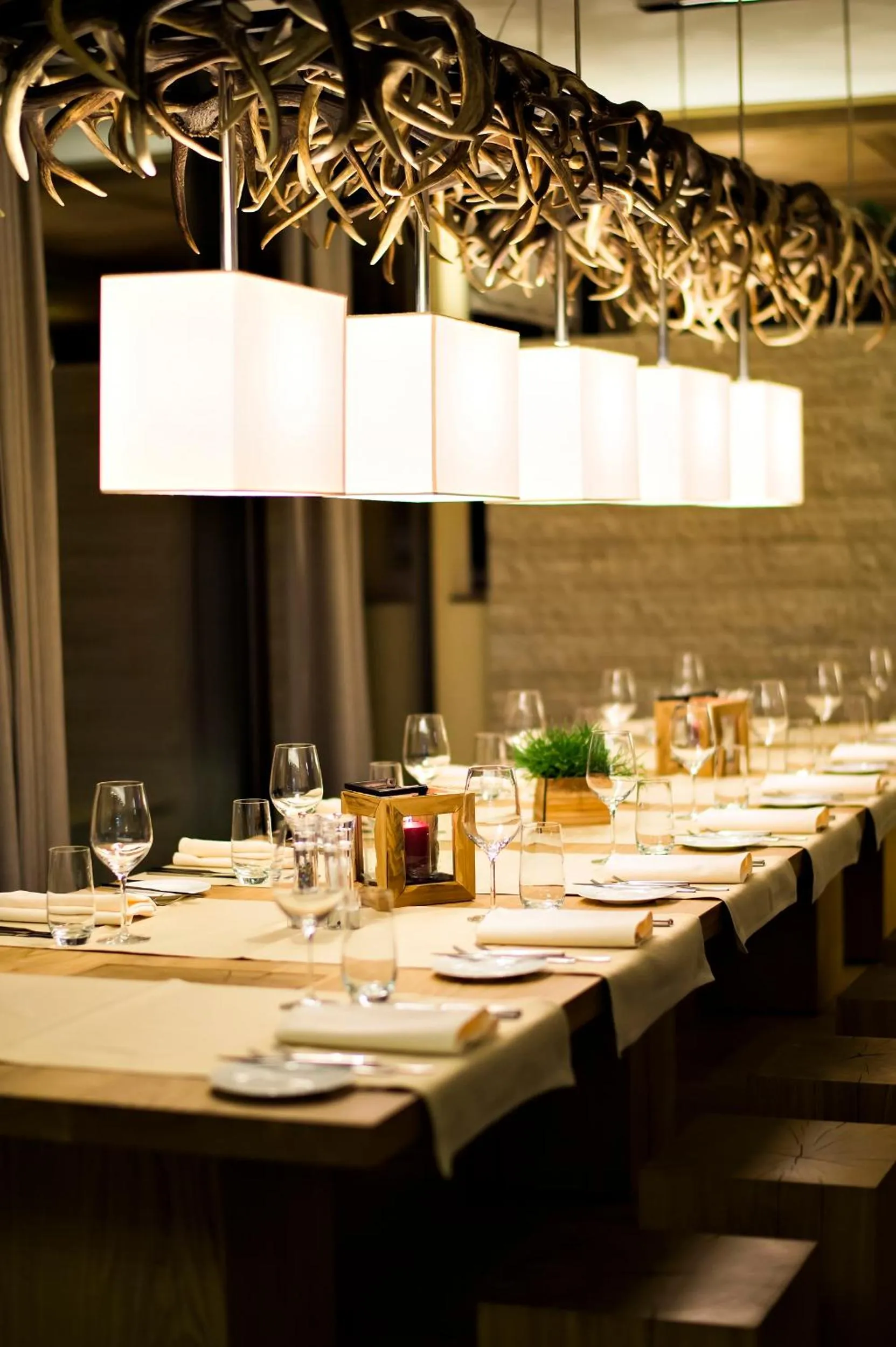 Restaurant/places to eat in Hotel Palü