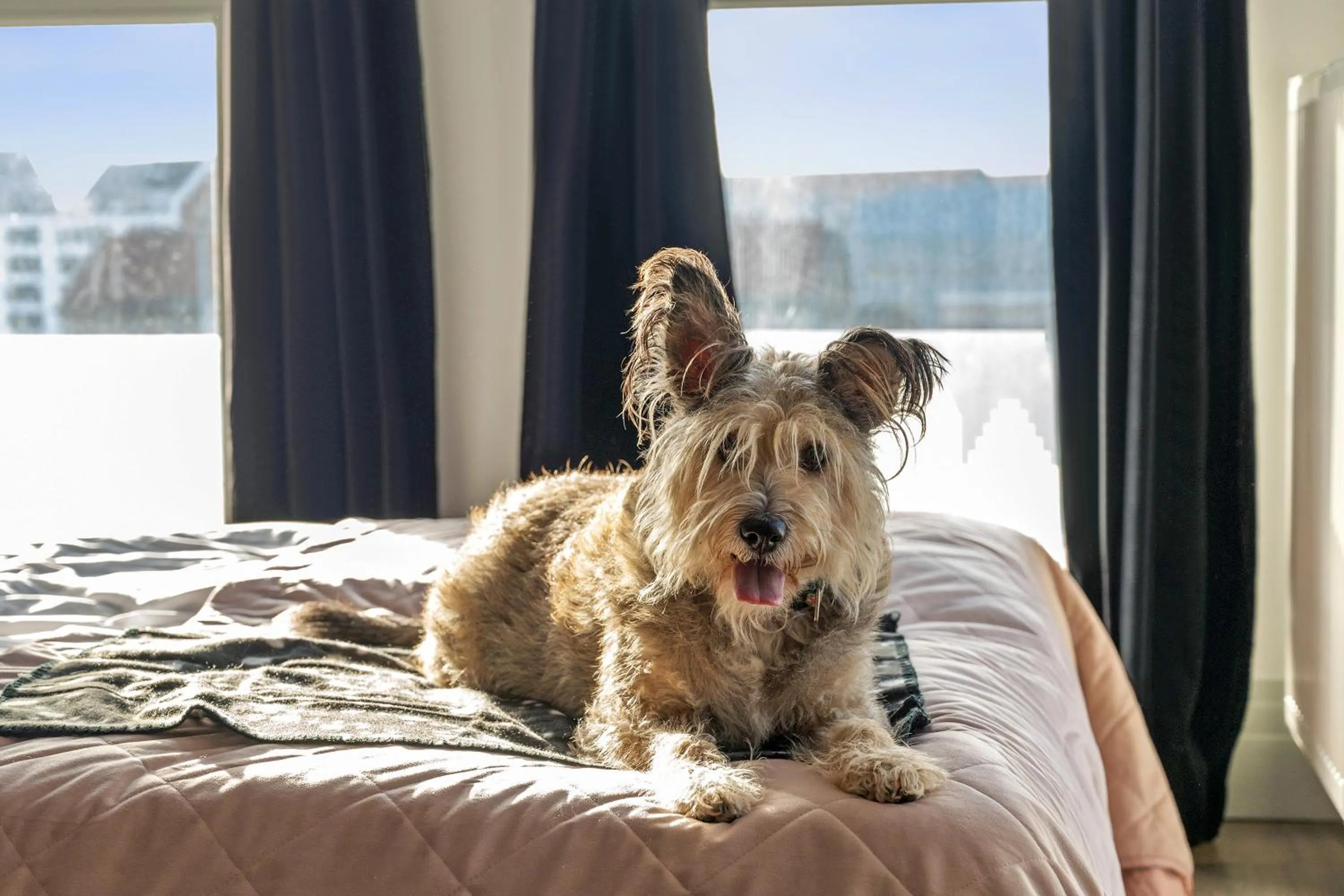 Bed in GRANO APARTMENTS Gdańsk Residence SPA & Wellness - GRANO APARTMENTS Gdańsk Old Town SPA & Wellness