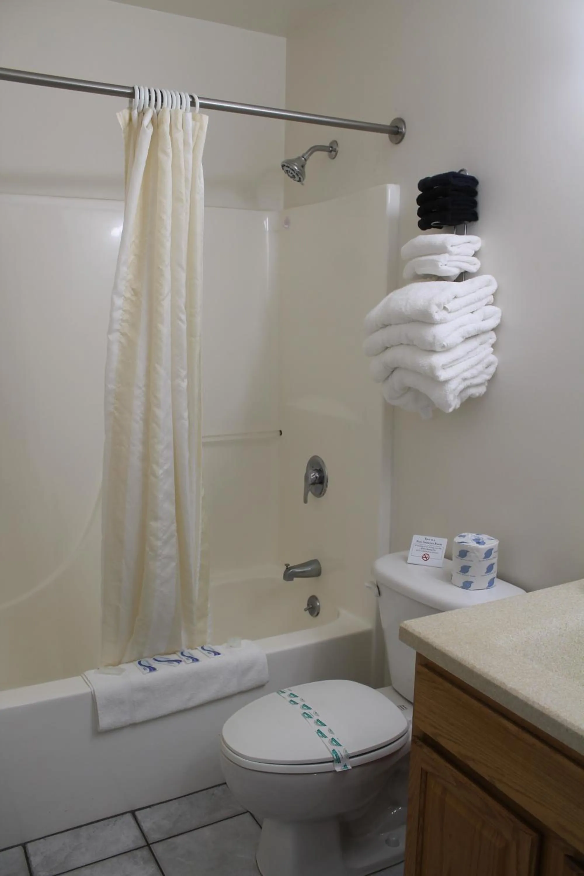 Shower in American Host Inn