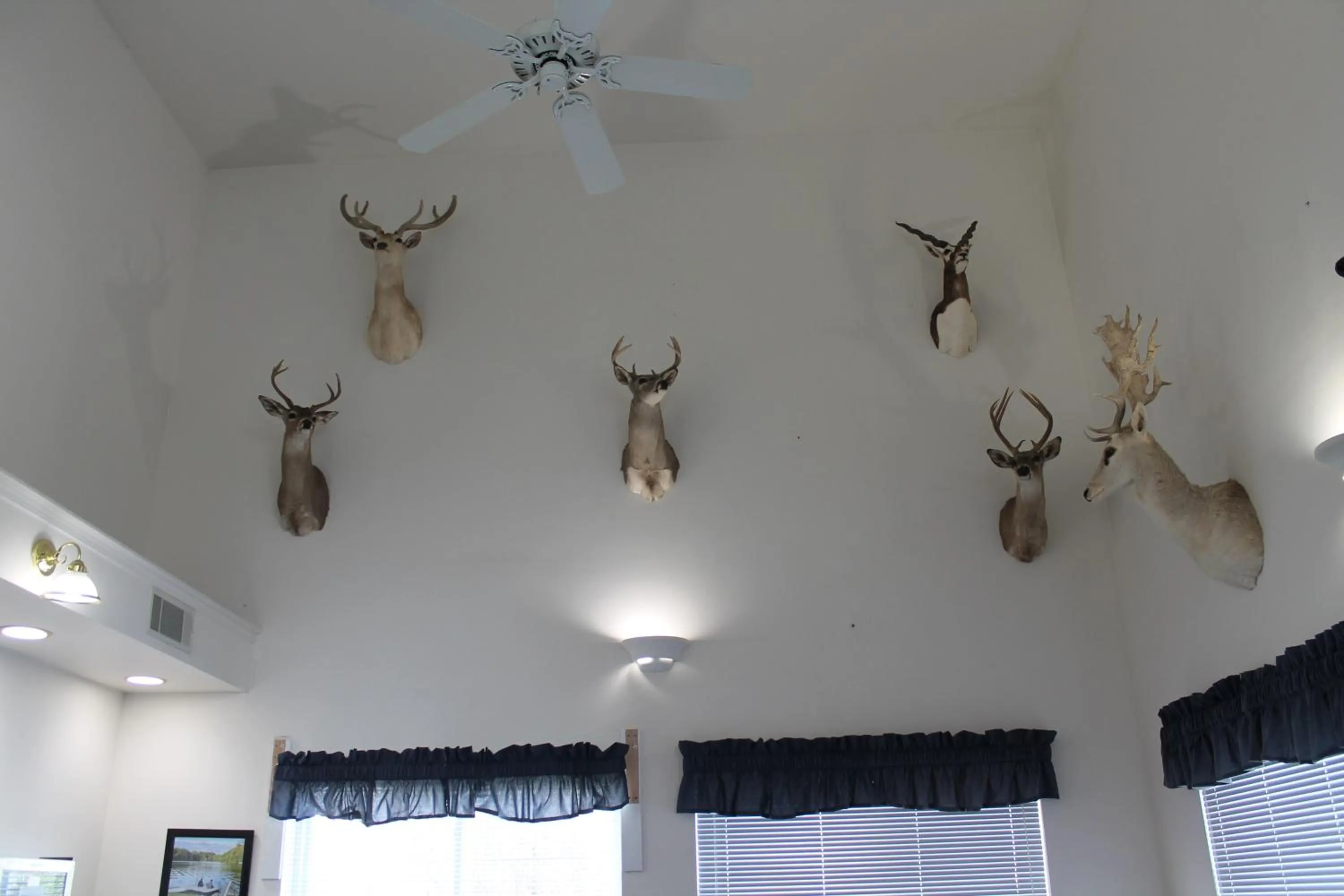 Decorative detail in American Host Inn