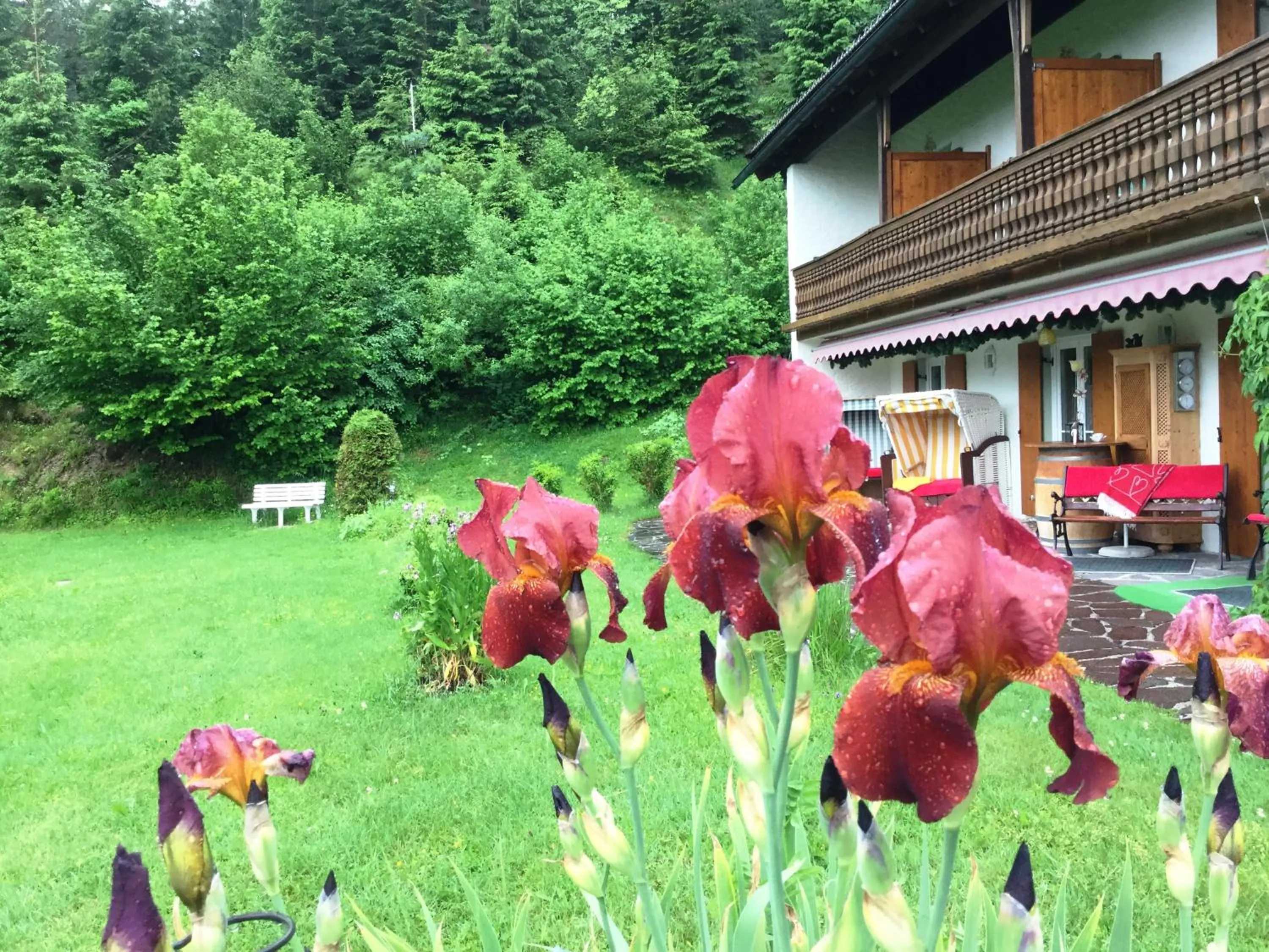 Balcony/Terrace in Bäckeralm© - B&B 16 +
