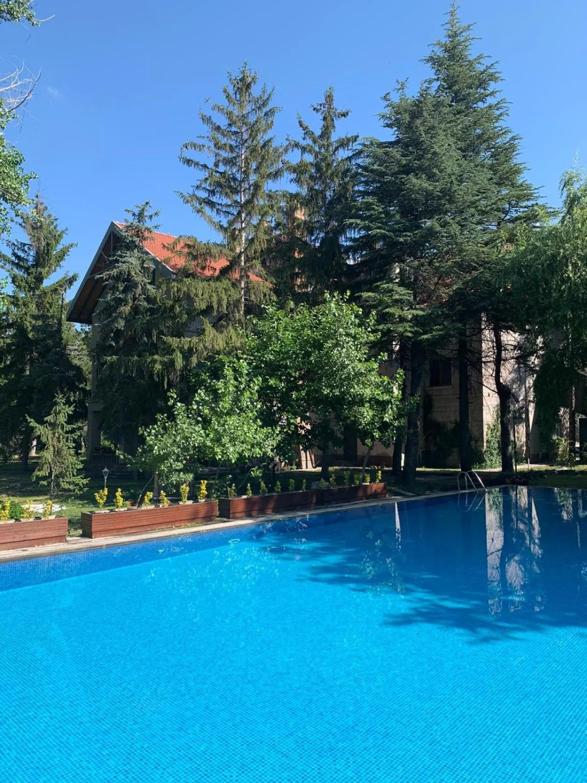 Swimming pool in SUNOLUS VINEYARDHOUSe