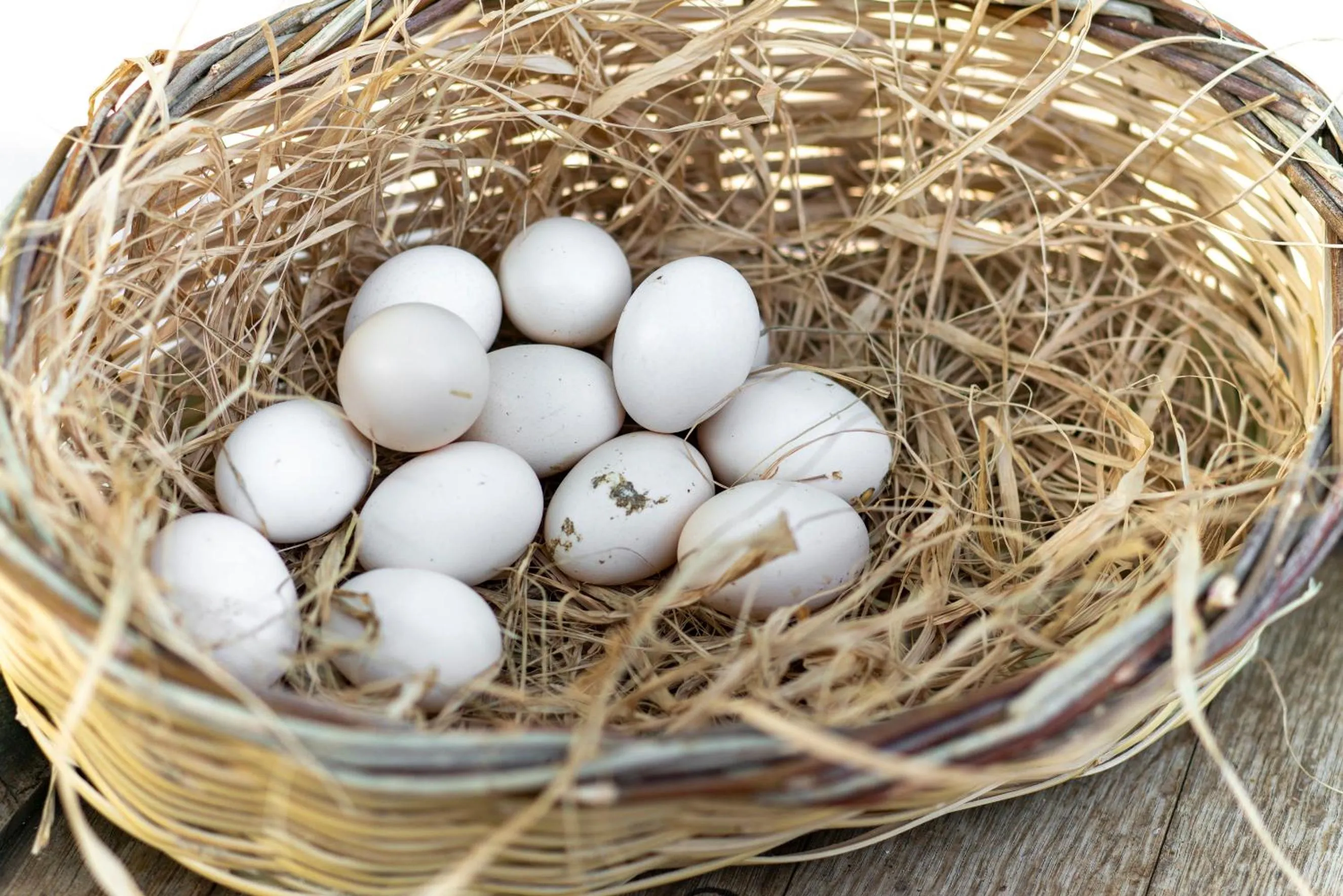 Food close-up in SUNOLUS VINEYARDHOUSe