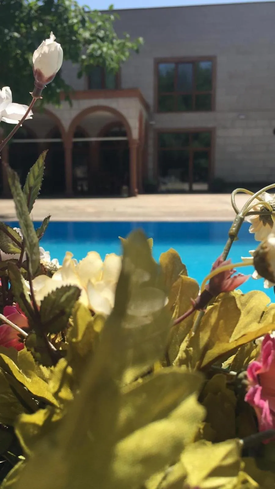 Pool view in SUNOLUS VINEYARDHOUSe