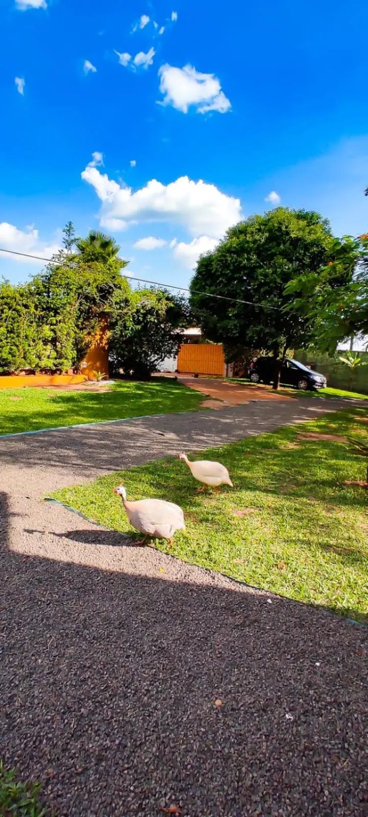 View (from property/room) in Biomas Hotel