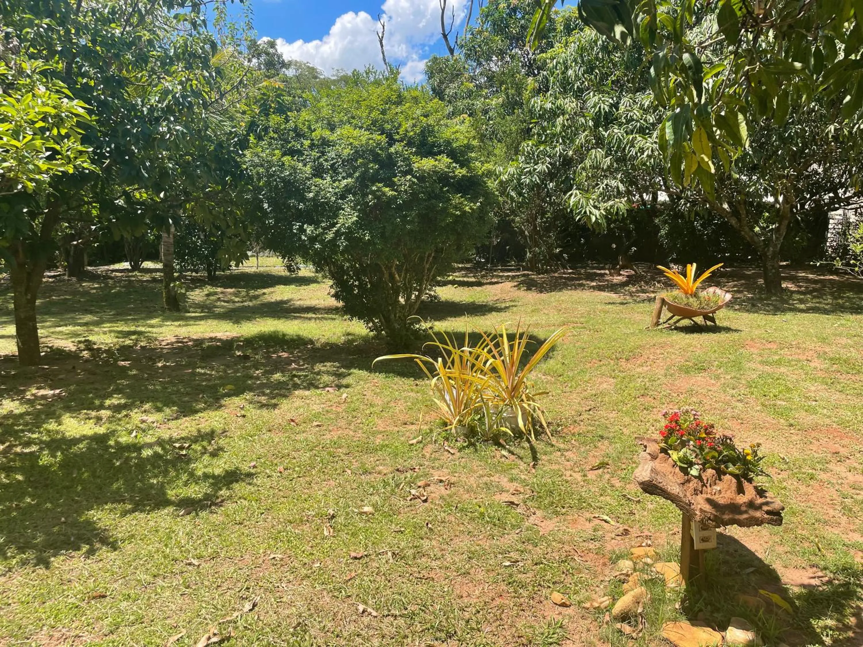 Garden in Biomas Hotel