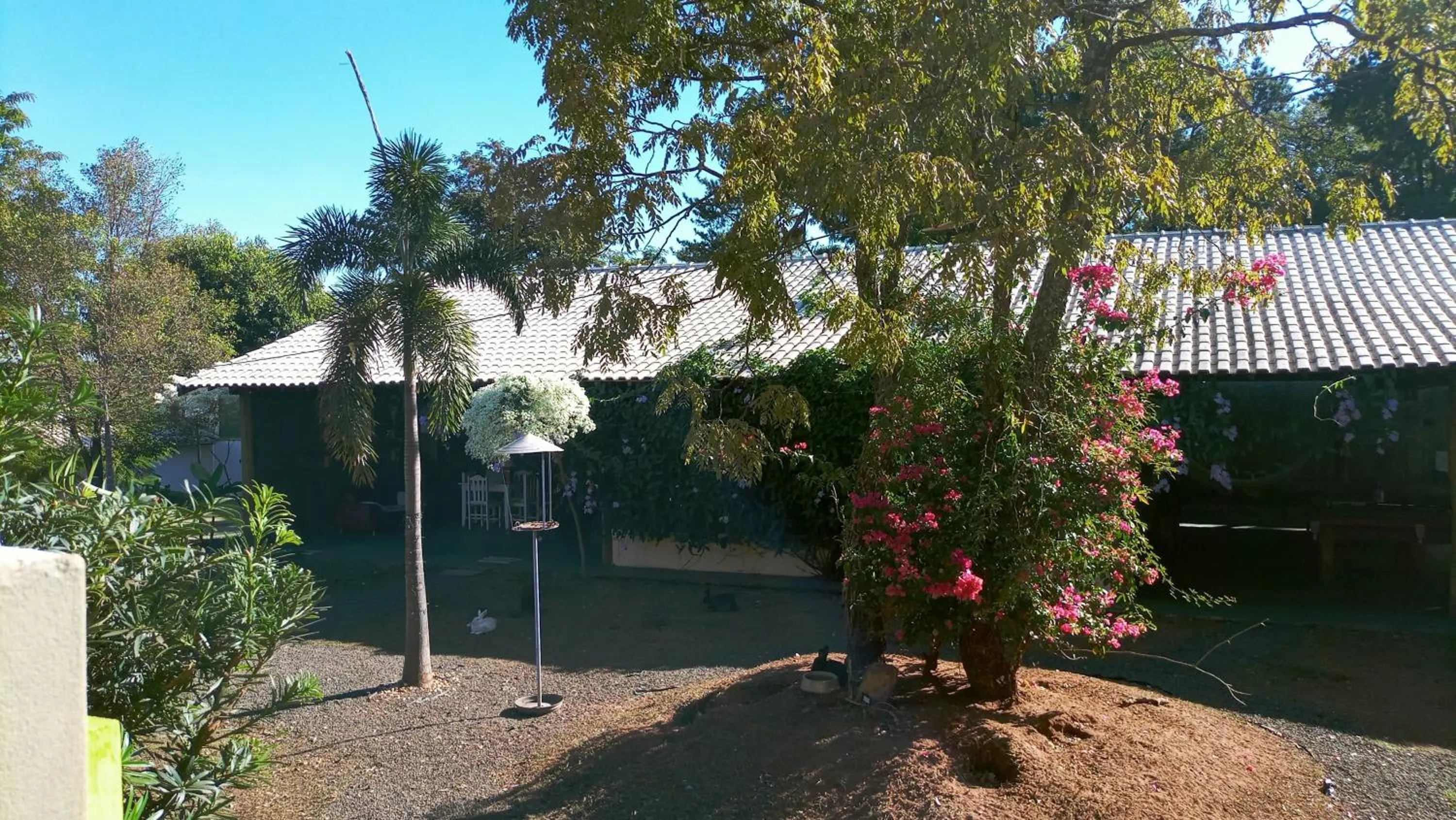 View (from property/room) in Biomas Hotel