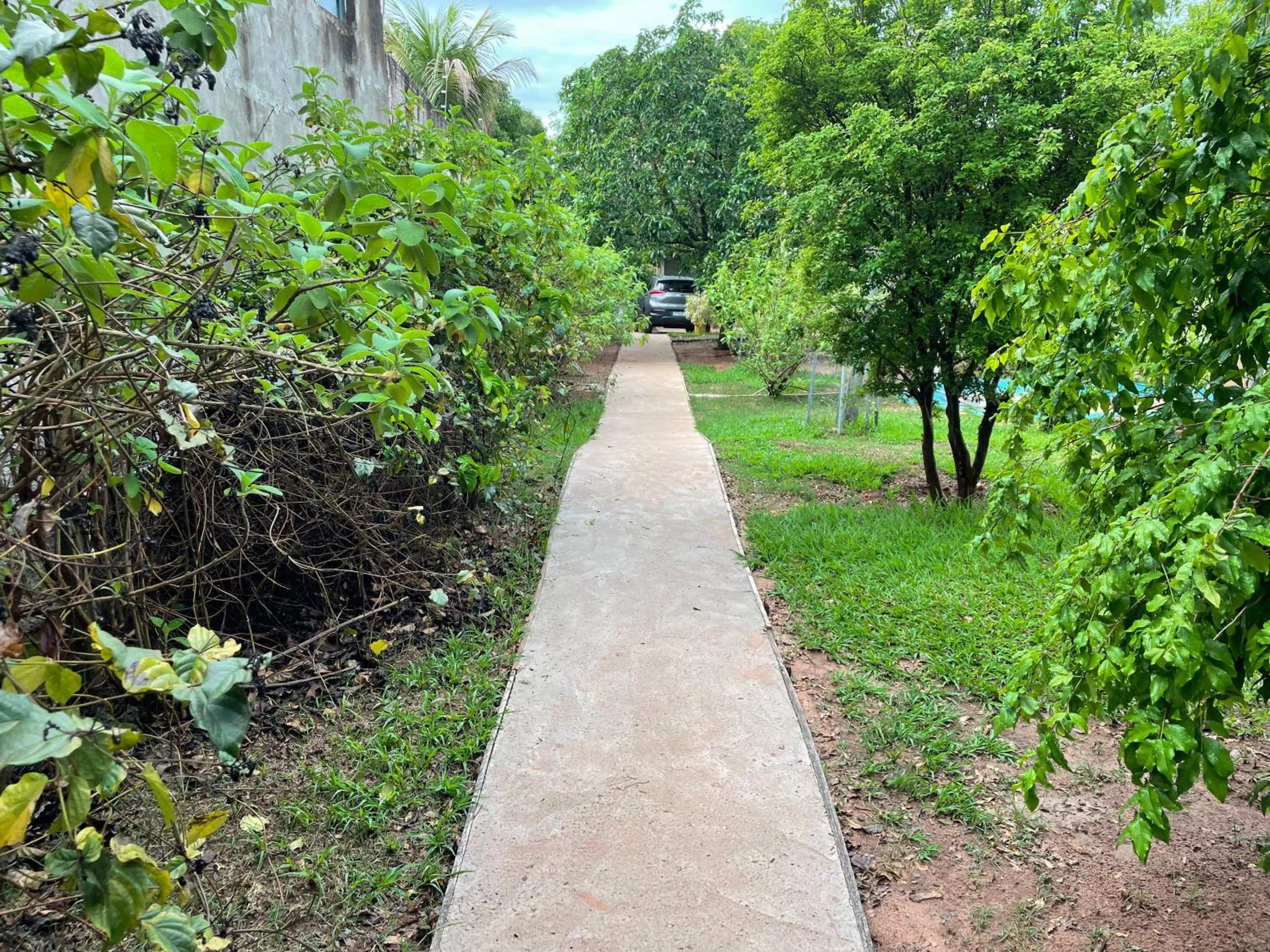Garden in Biomas Hotel