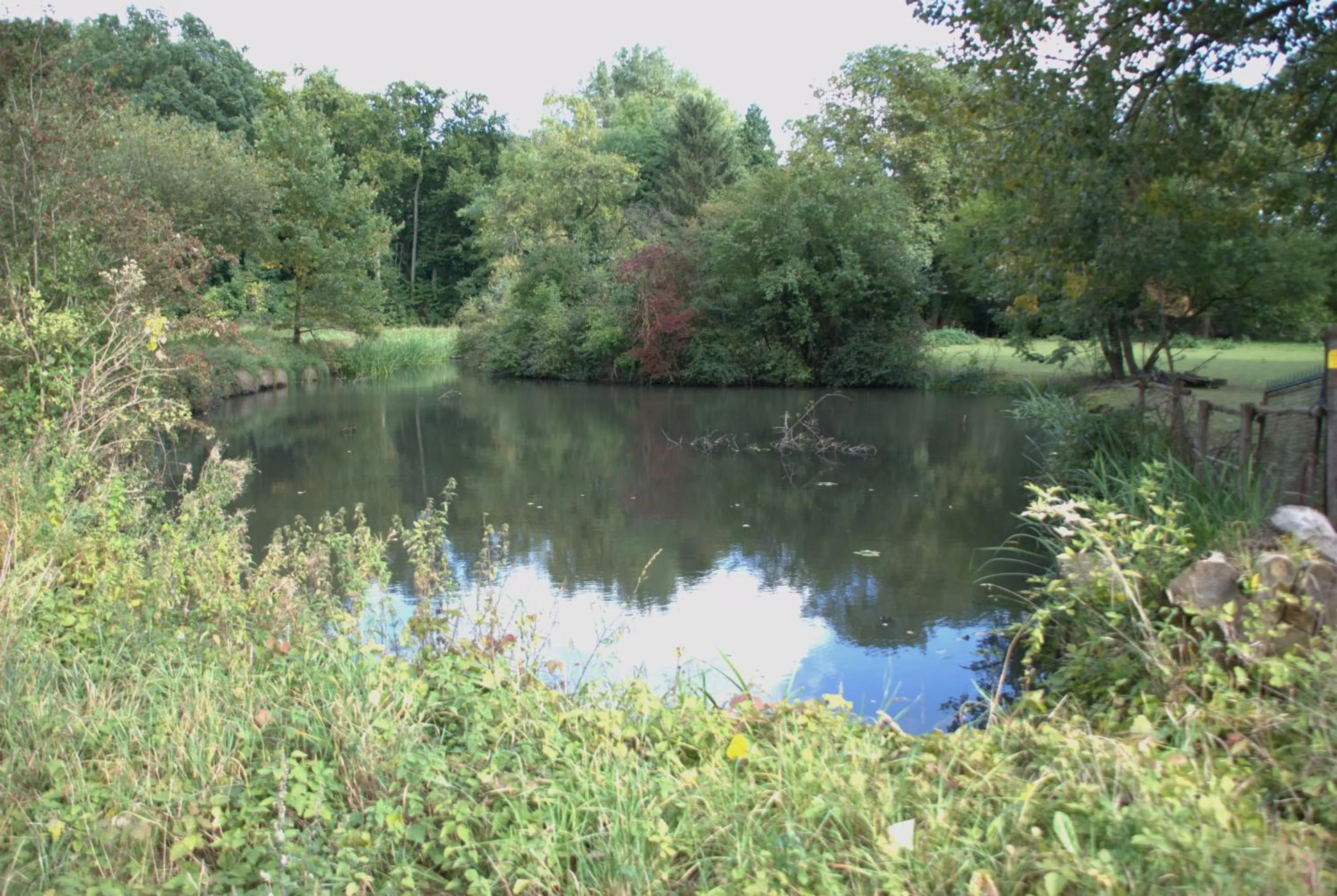 Natural landscape in AKZENT Land-Hotel Zum Schwan, Garni WEILERSWIST-METTERNICH, 3 E-LADESTATIONEN, Nähe PHANTASIALAND, PALMENPARADIES Euskirchen