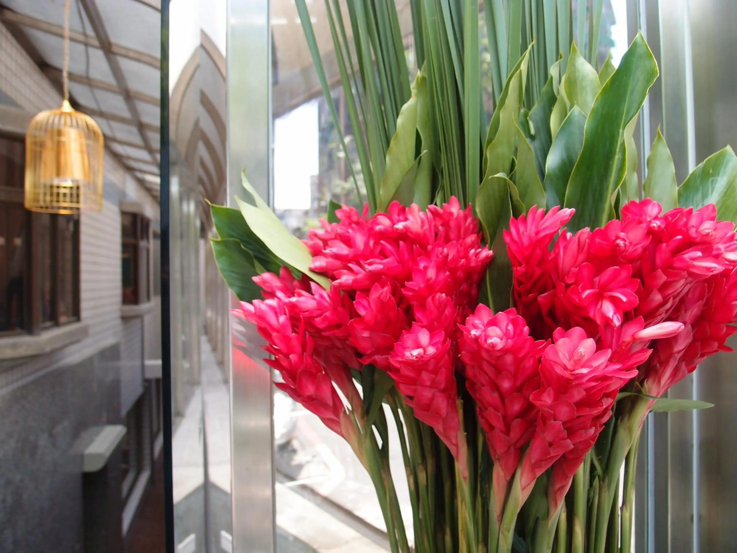 Area and facilities in Hotel 20 Alley