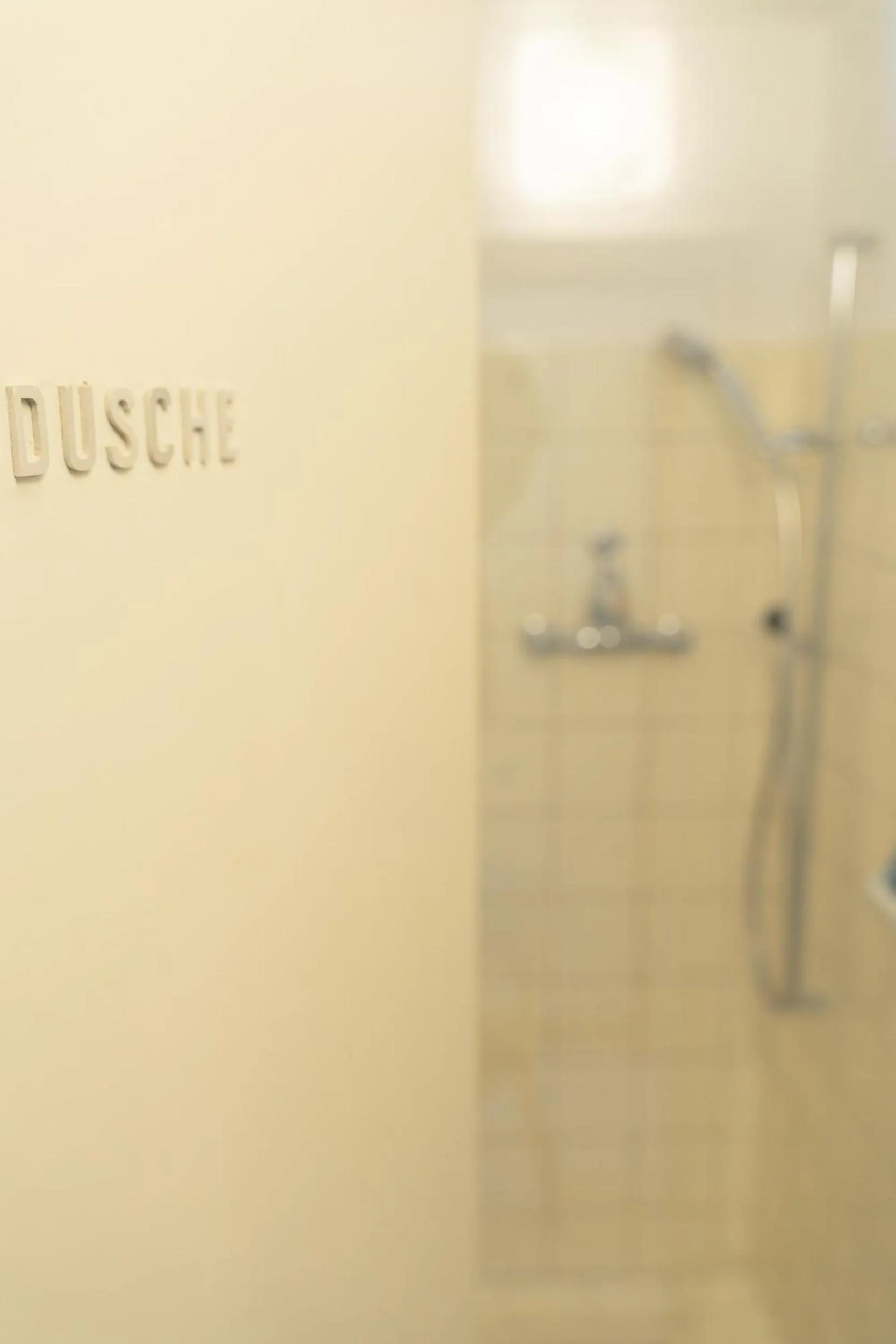 Shower in Hotel Guidon Zimmer
