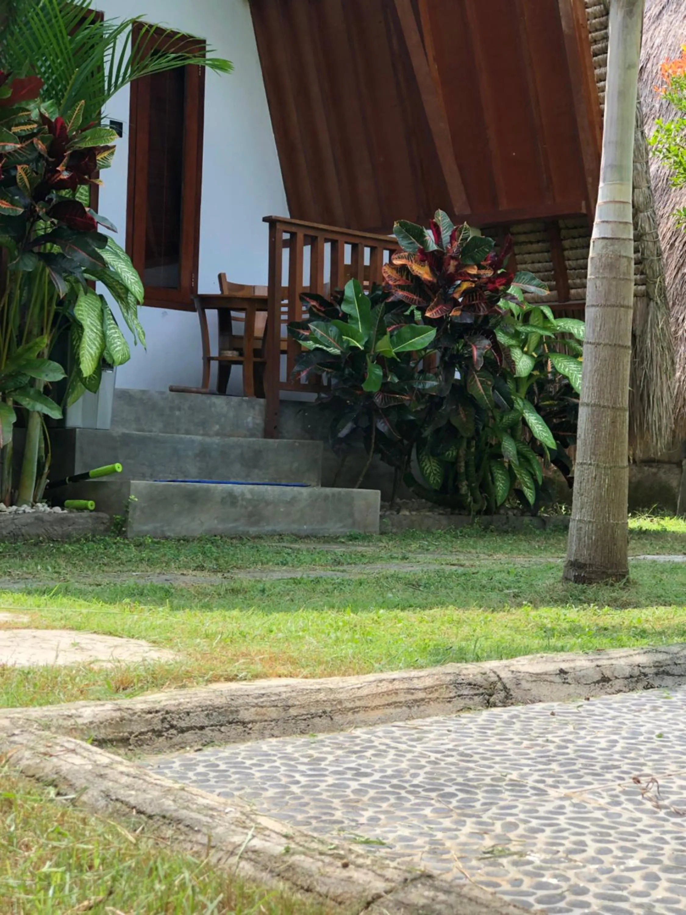 Tropical Sunday Bungalow - Surf And Stay