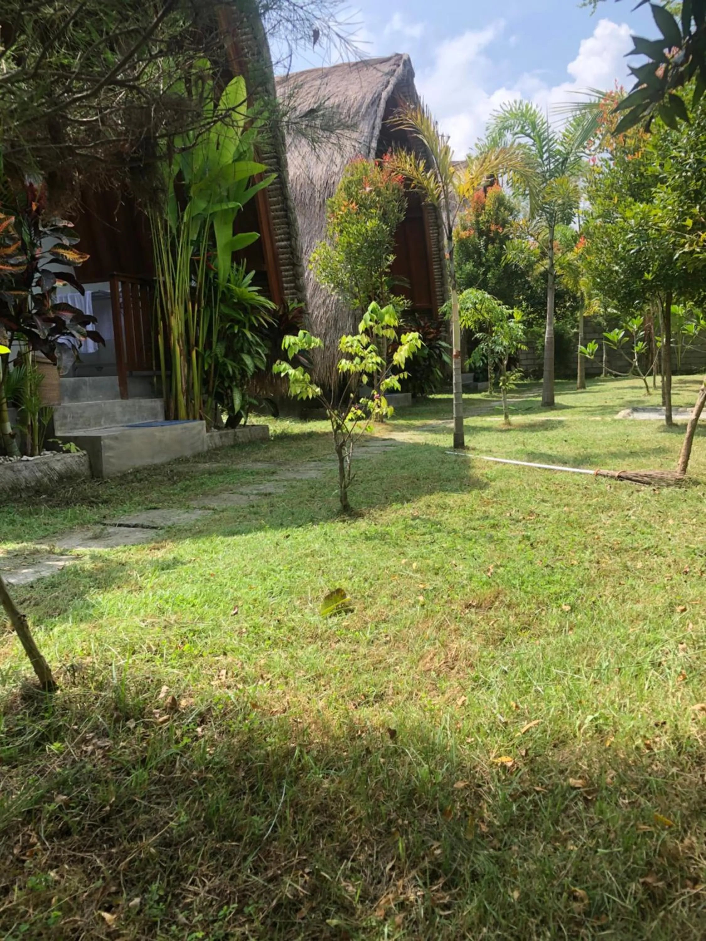 Tropical Sunday Bungalow - Surf And Stay