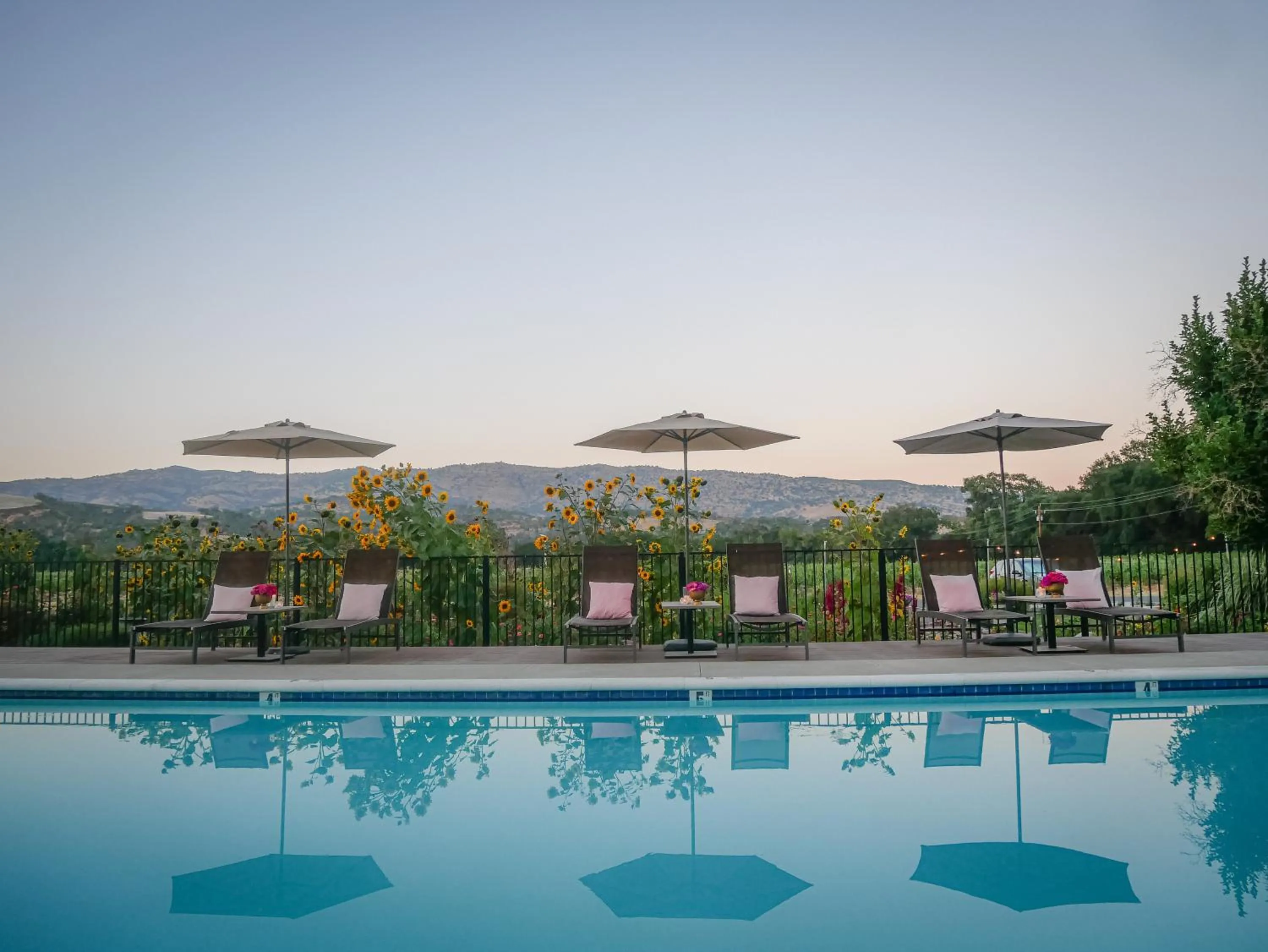 Bann at Oak Knoll Napa