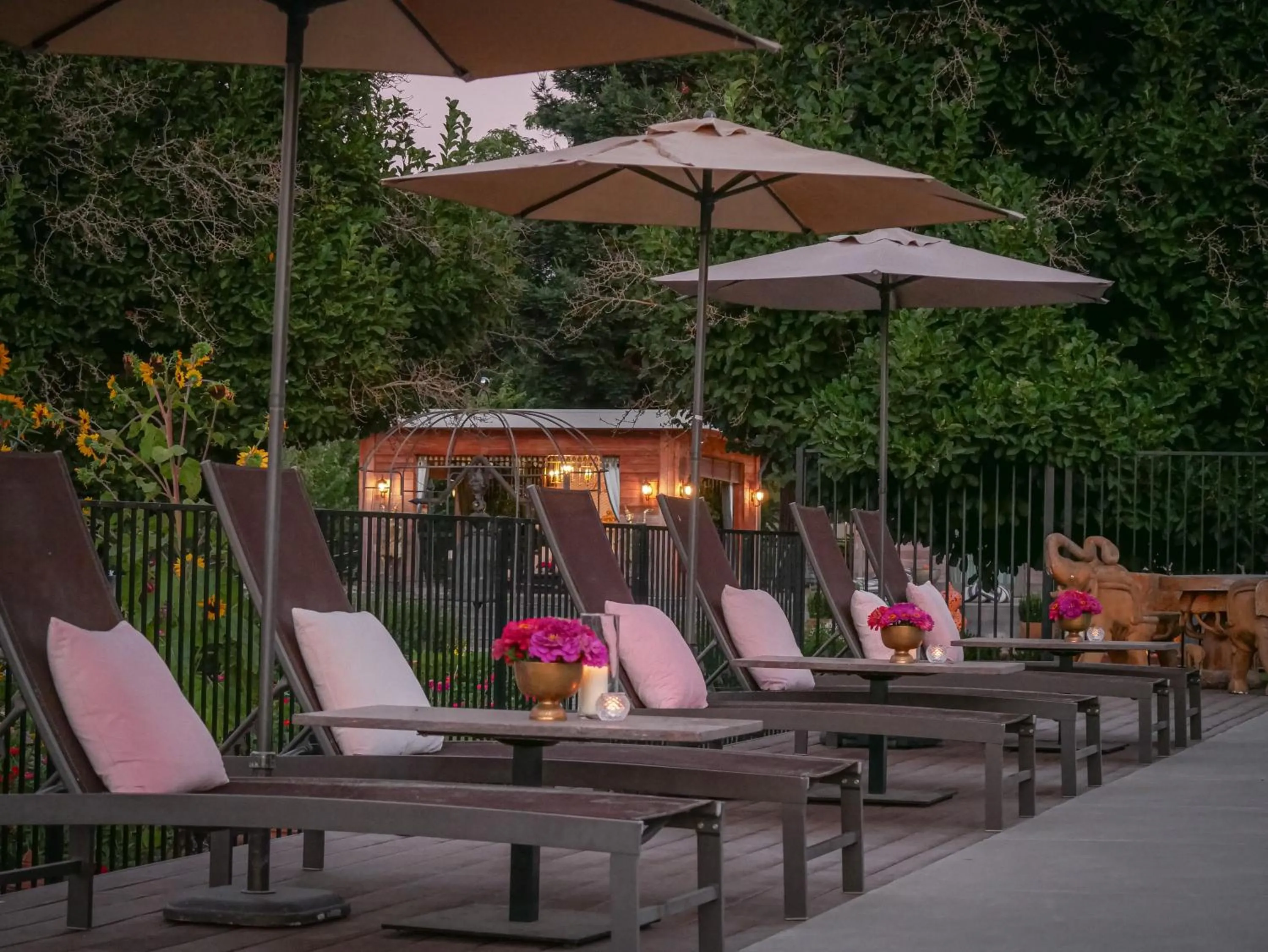 Bann at Oak Knoll Napa