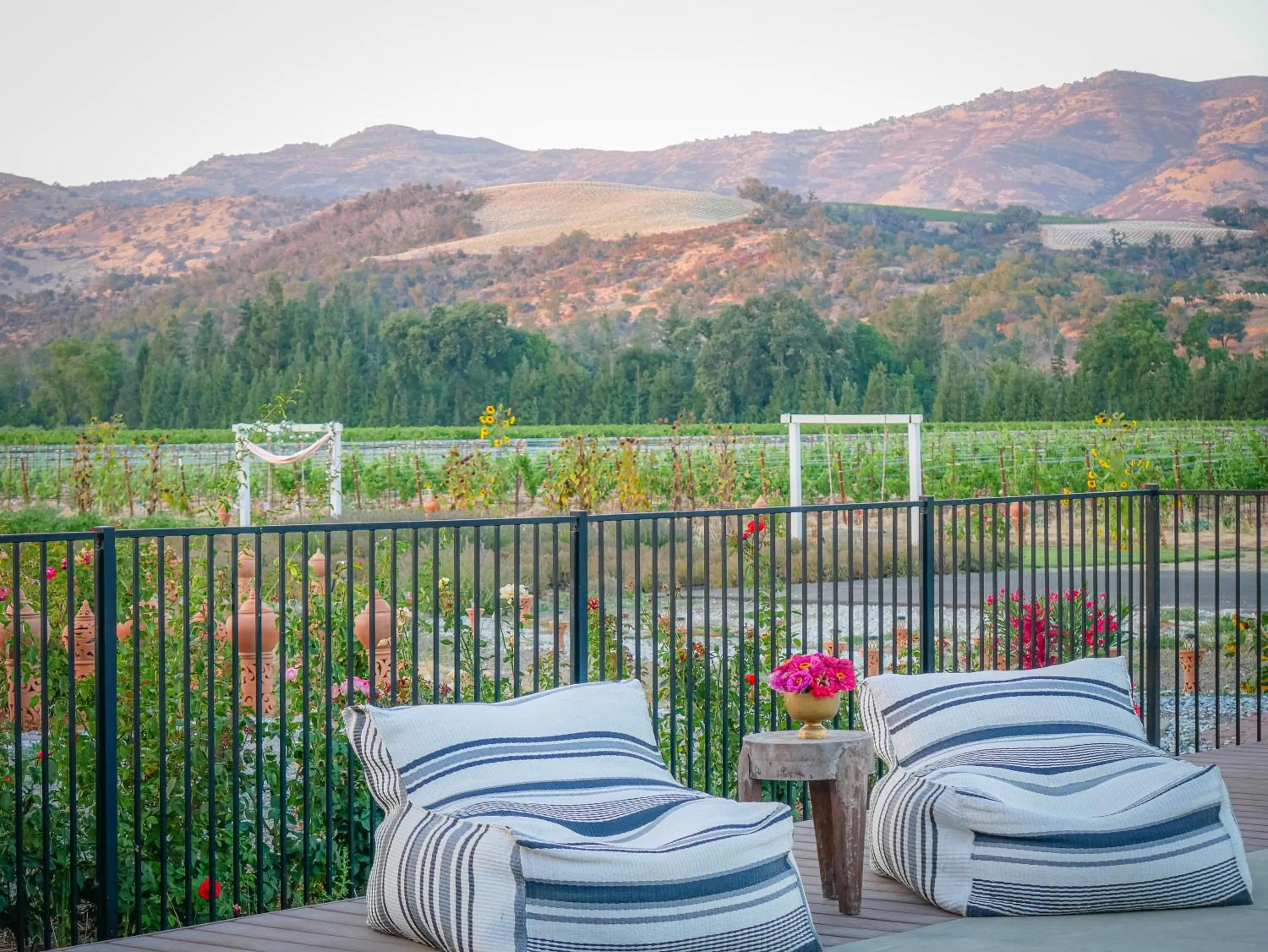 Bann at Oak Knoll Napa