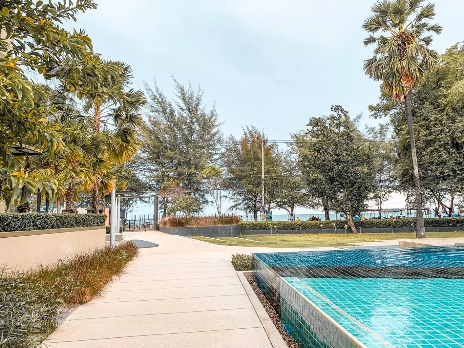 Garden in lumpini park beach