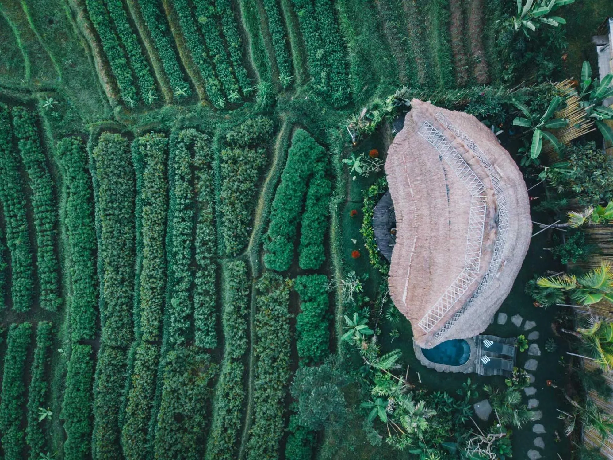 Bird's eye view in Veluvana Bali