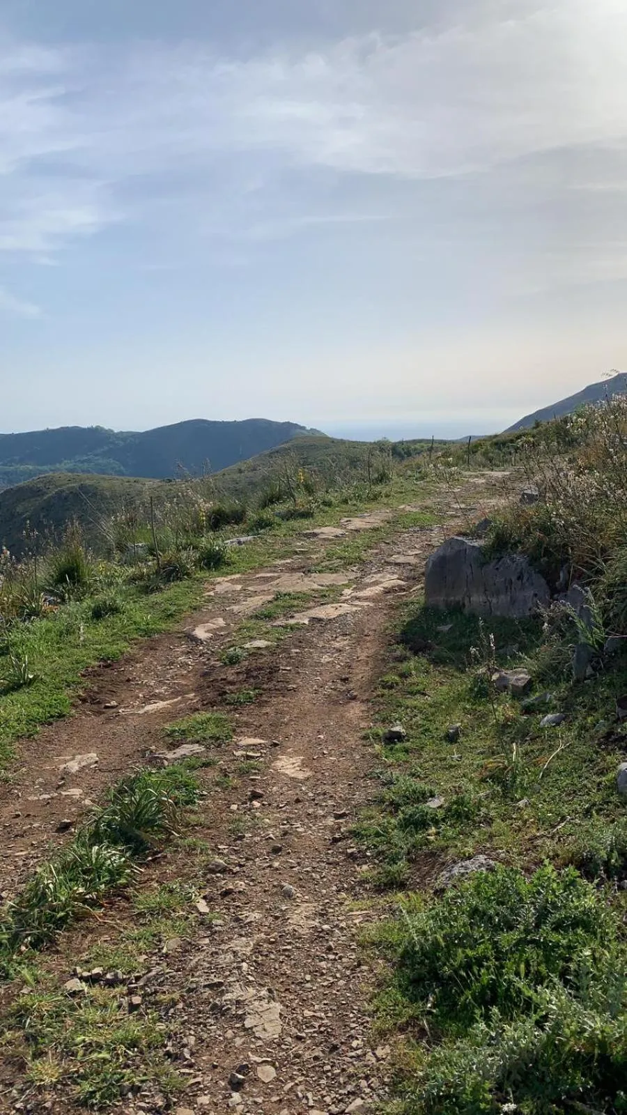 B&B BUICOVILLE CAMEROTA