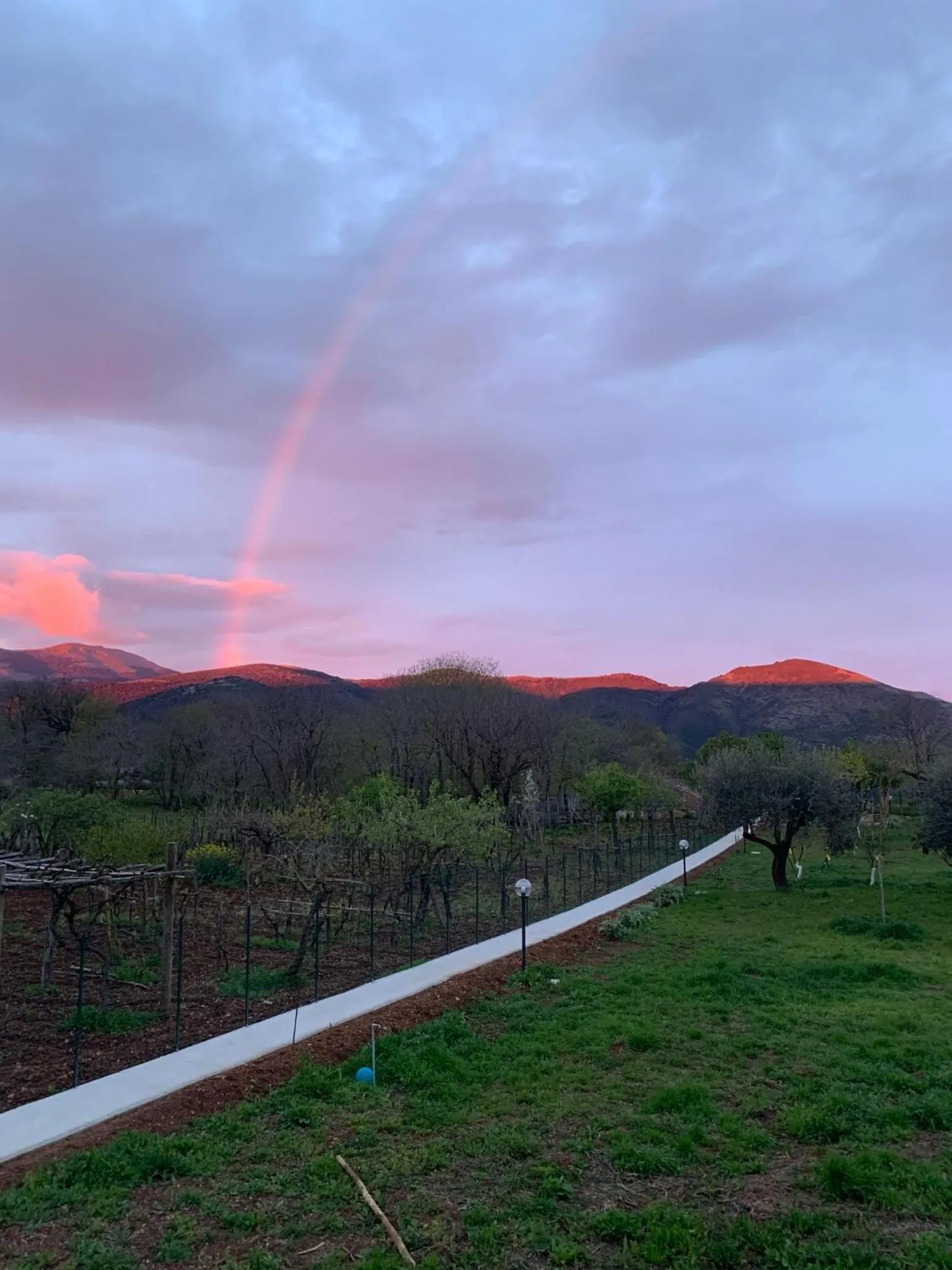 B&B BUICOVILLE CAMEROTA