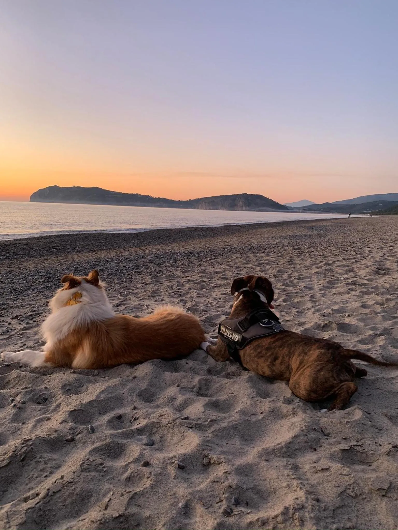 B&B BUICOVILLE CAMEROTA