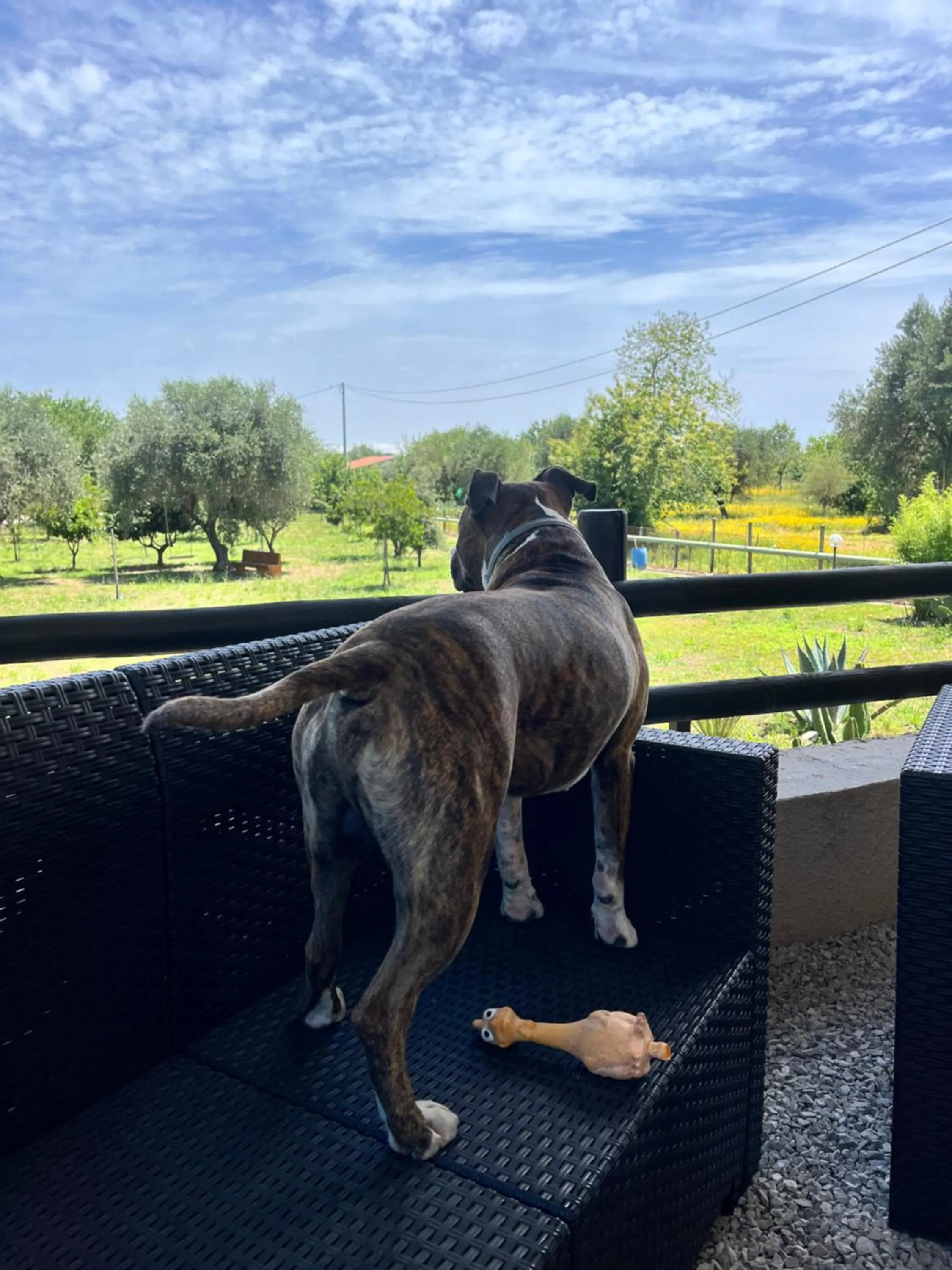 B&B BUICOVILLE CAMEROTA