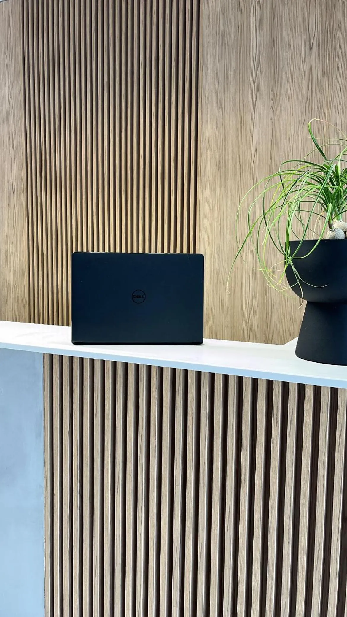 Lobby or reception in Comfort Zefyros