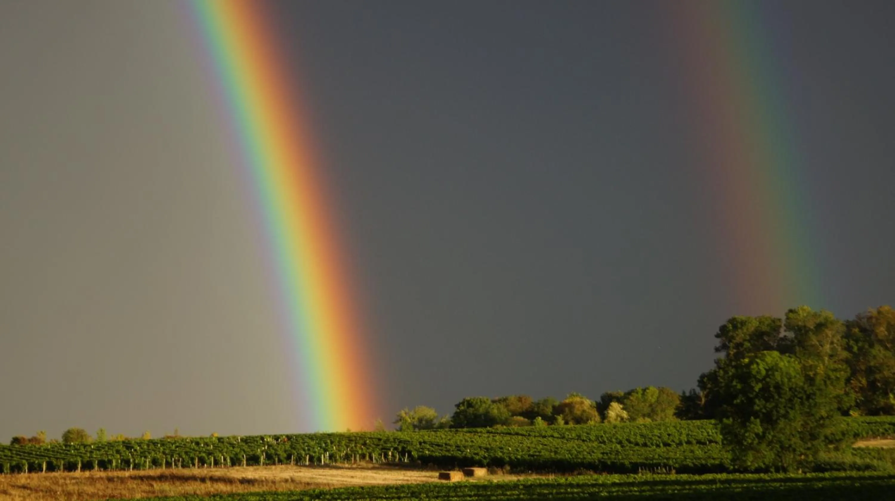 Natural landscape in Chambres d'hôtes La Hourqueyre