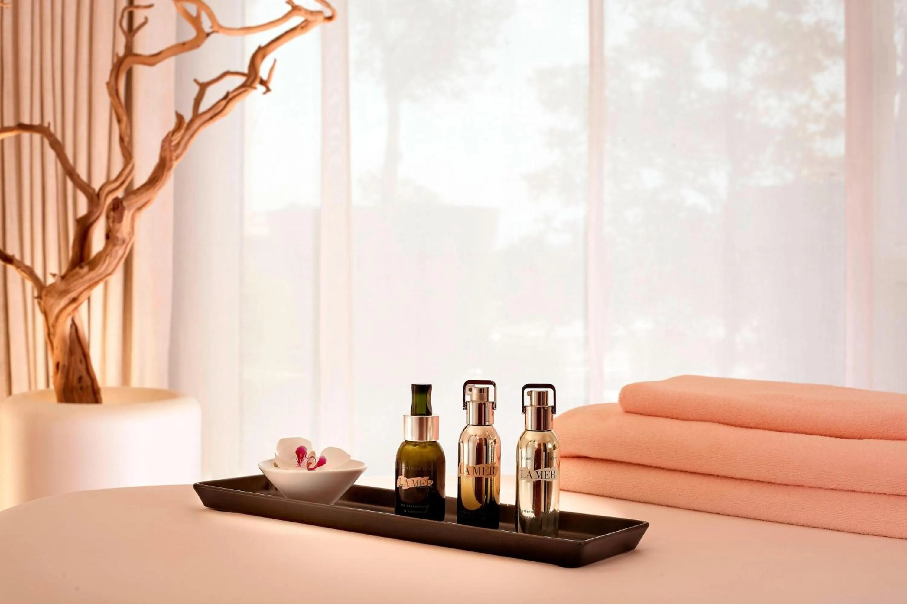 Spa and wellness centre/facilities, Bed in Hotel President Wilson, a Luxury Collection Hotel, Geneva