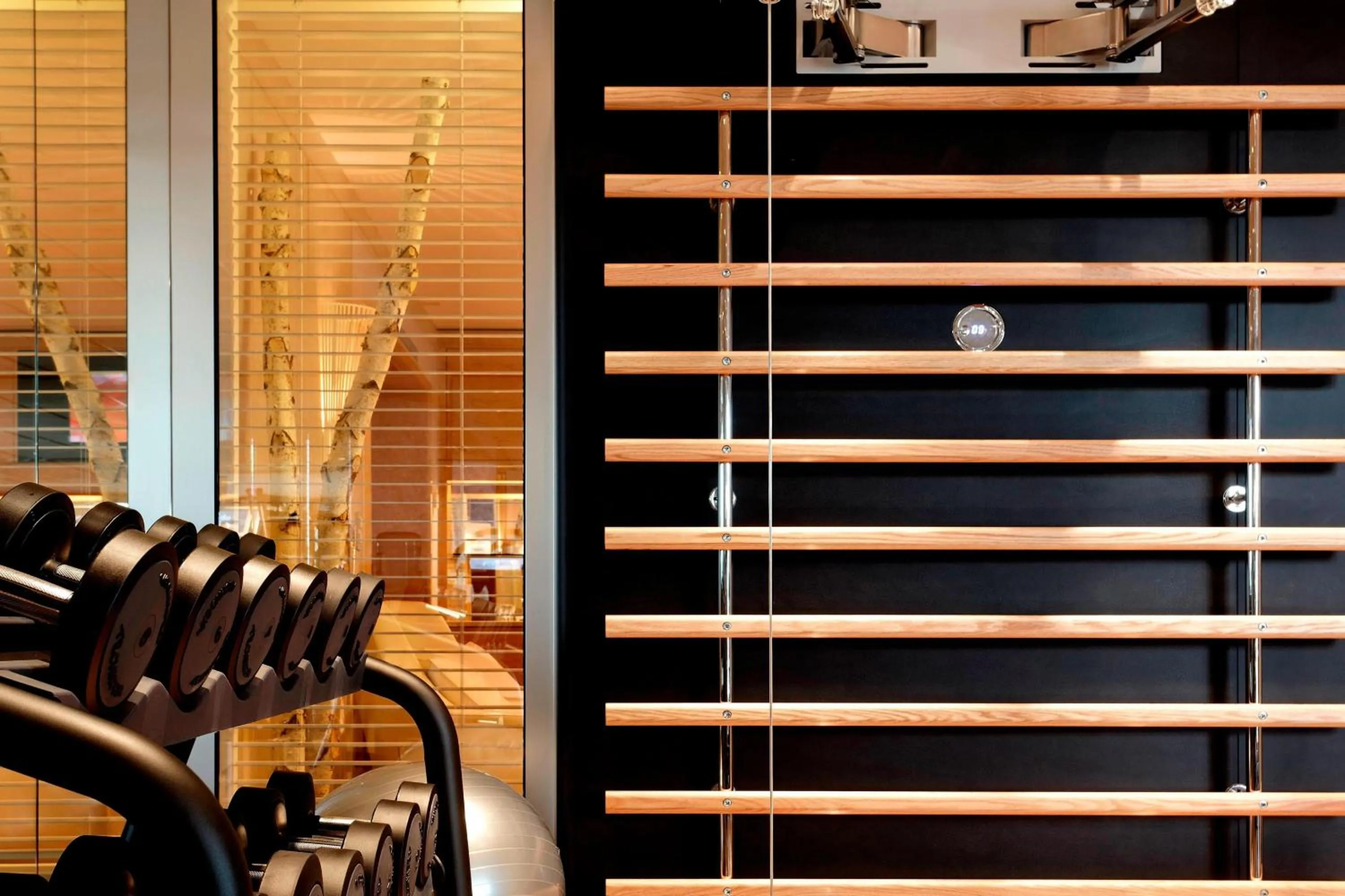 Fitness centre/facilities in Hotel President Wilson, a Luxury Collection Hotel, Geneva