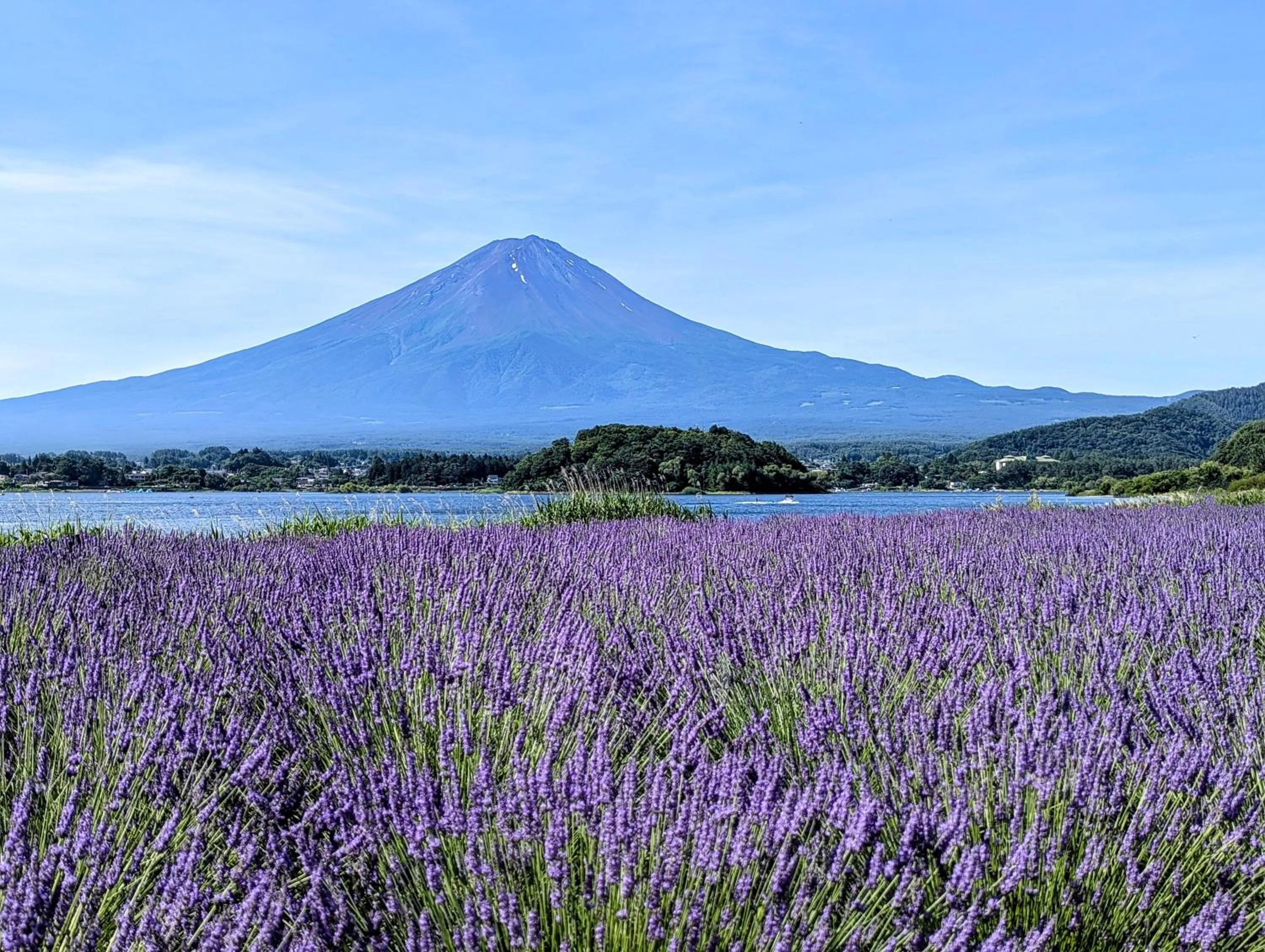 Nearby landmark in Fuji Gran Villa - TOKI -