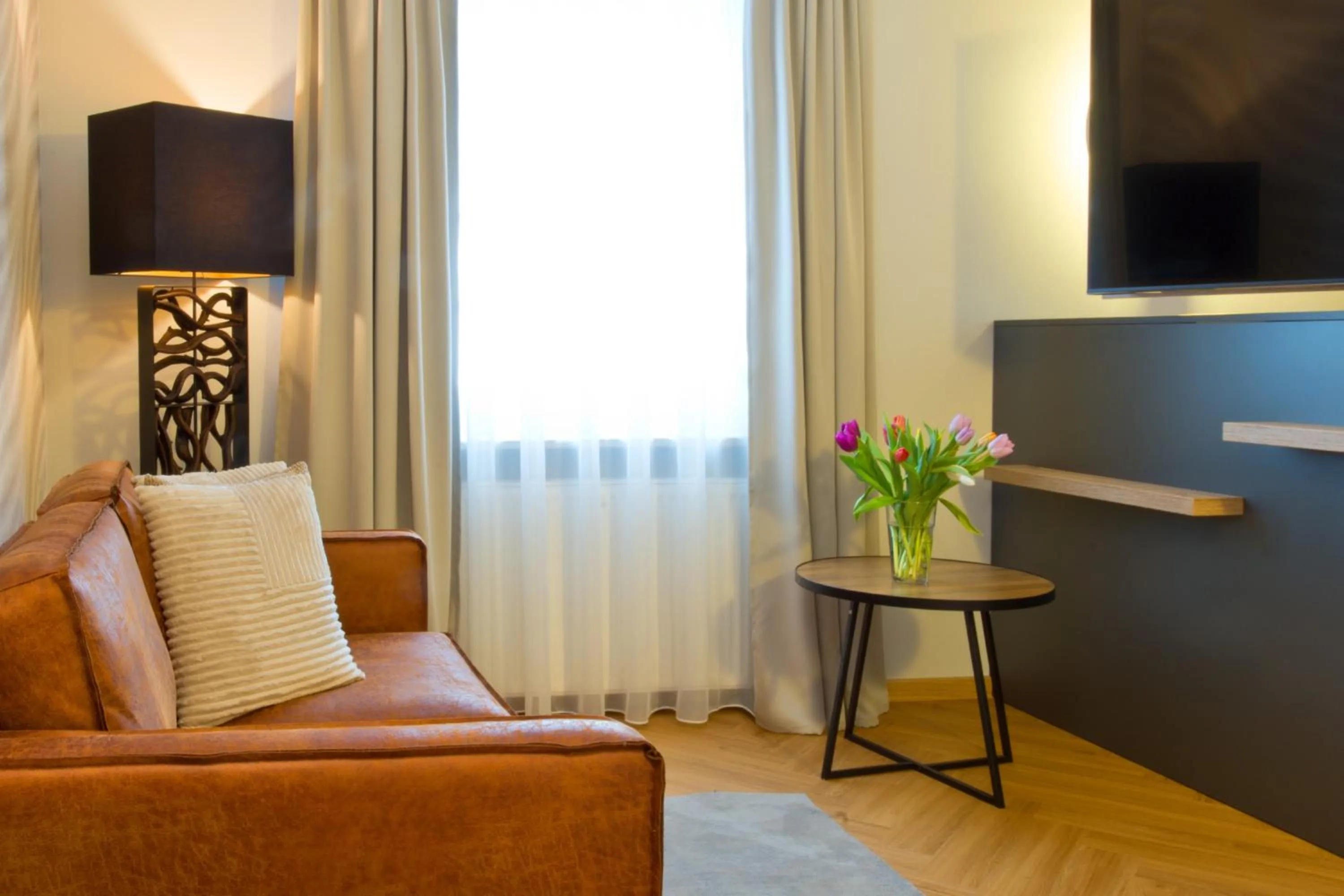 TV and multimedia in Atrium Hotel Amadeus