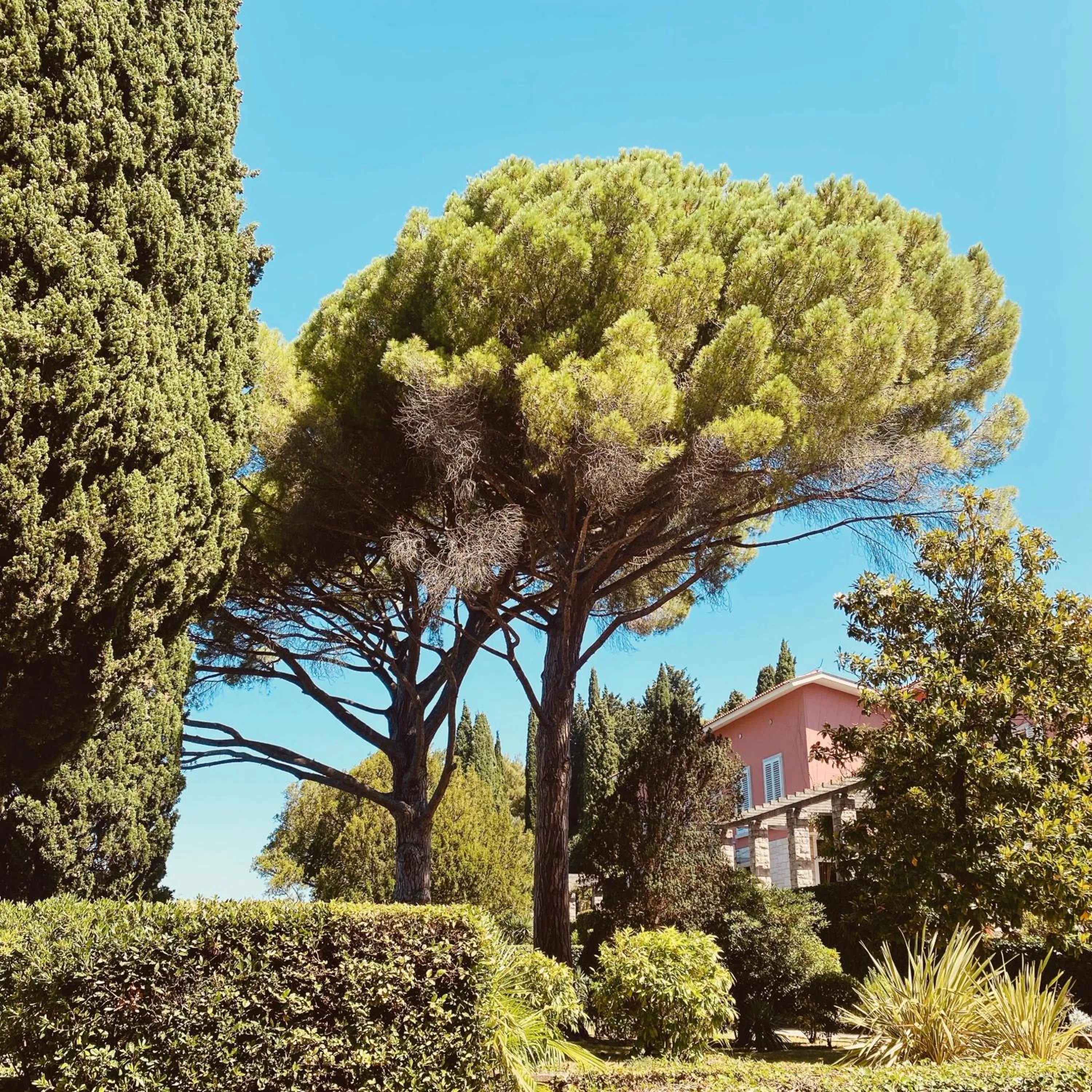 Day in Vila Tartini