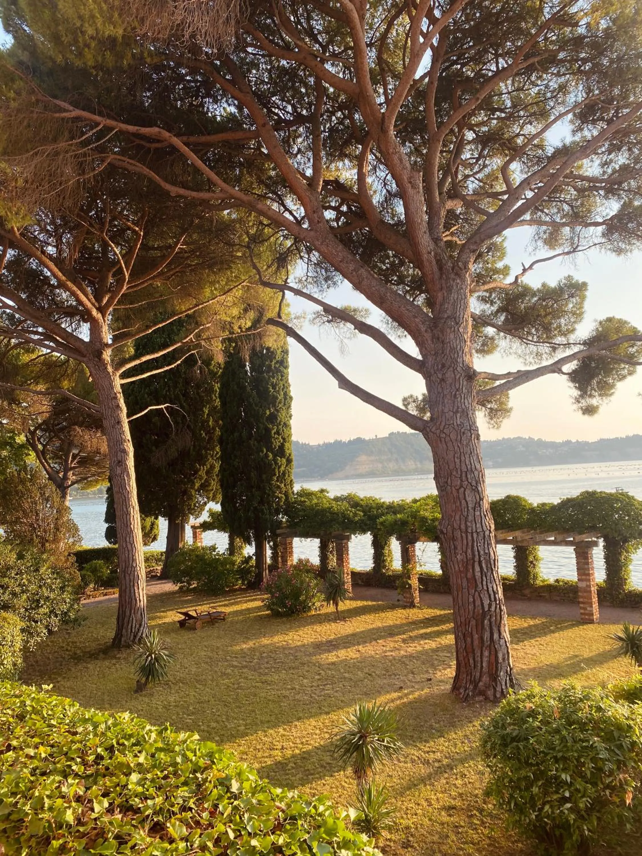 Garden in Vila Tartini