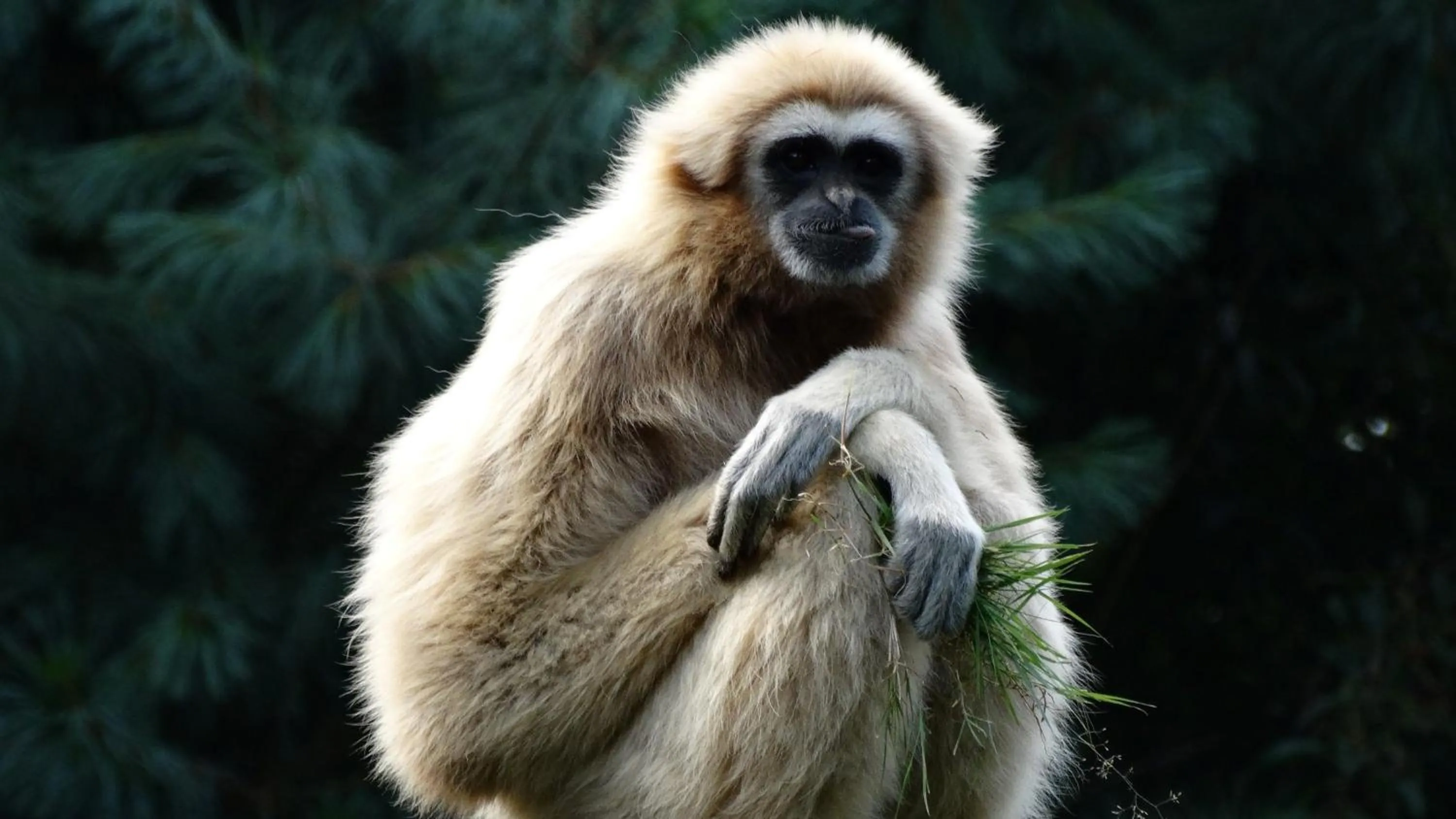 Nearby landmark in Holiday Inn Express & Suites - Valencia - Santa Clarita by IHG