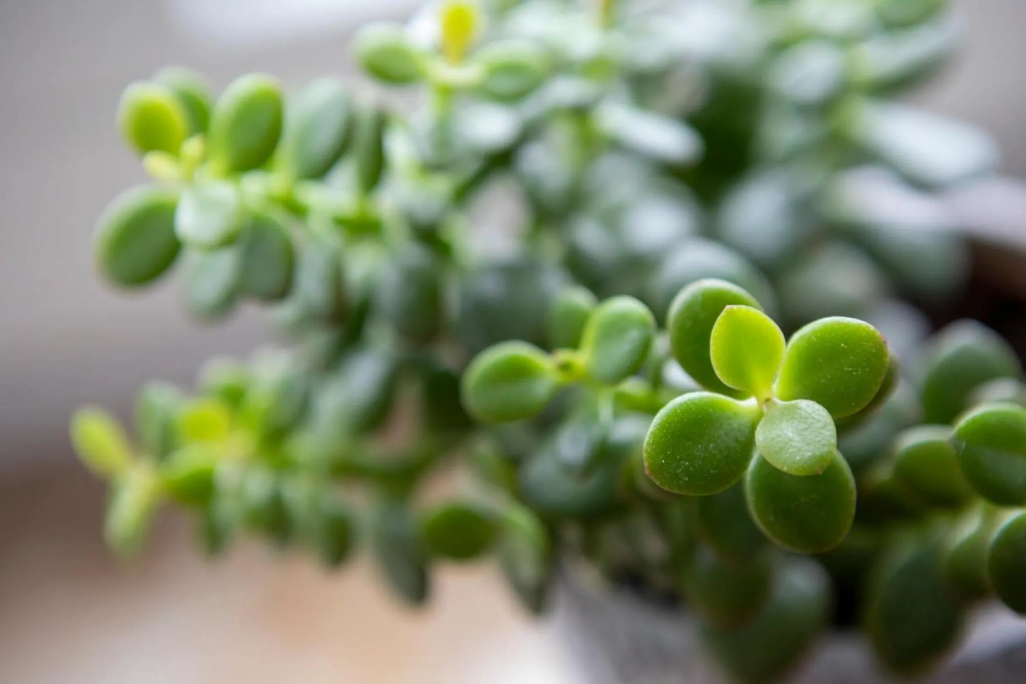 Bedroom in Hotel am Ludwigskanal