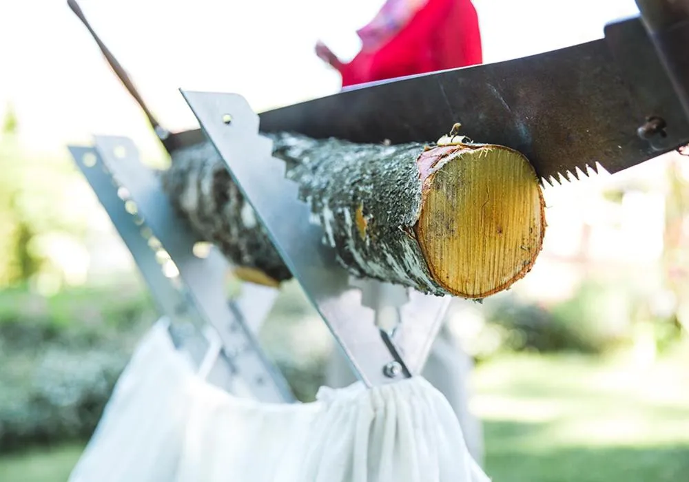 Activities in The Lakeside - Burghotel zu Strausberg