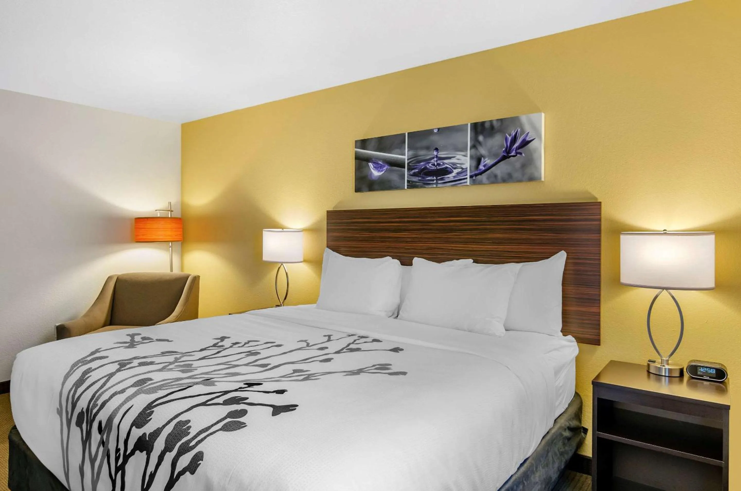 Photo of the whole room, Bed in Sleep Inn & Suites Great Falls Airport