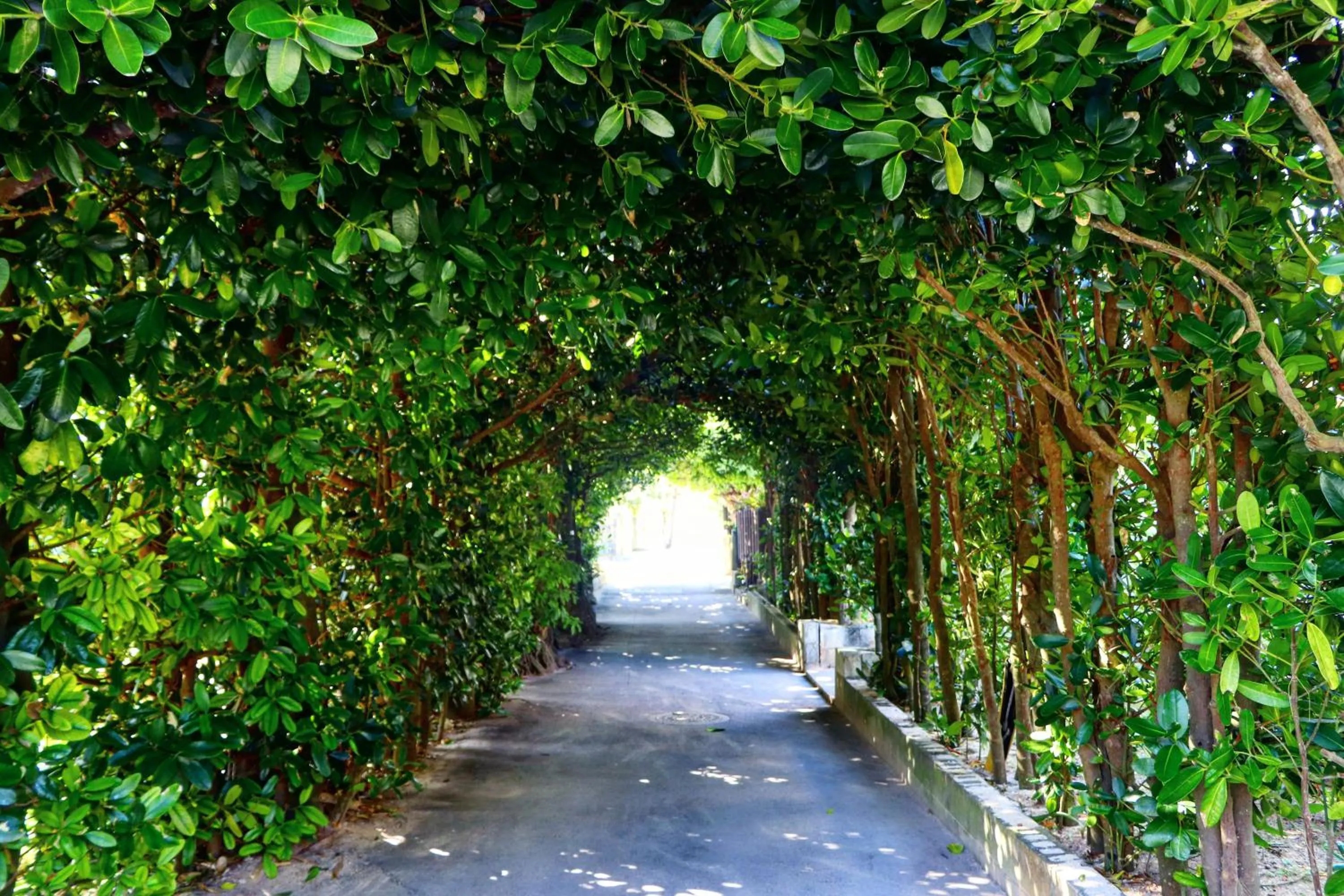 Nearby landmark in MAKAI green