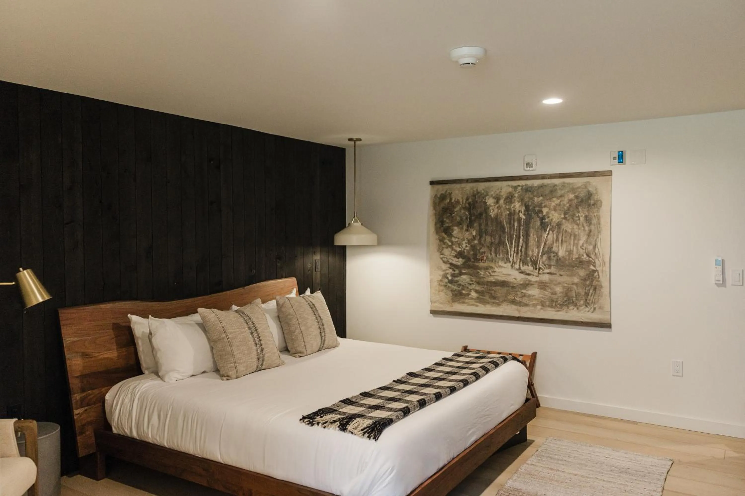 Bed in Wonderstone at Glacier