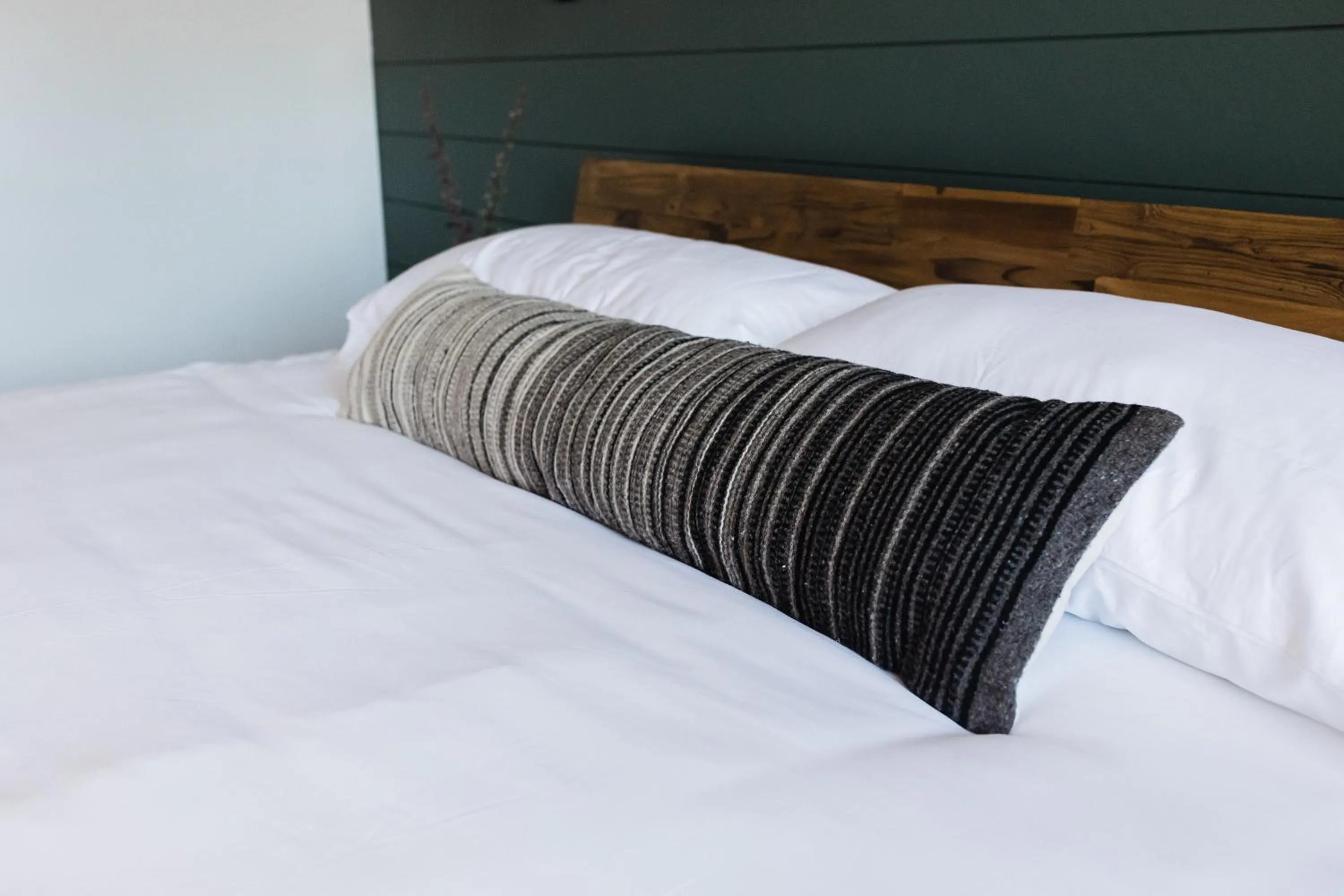 Bed in Wonderstone at Glacier