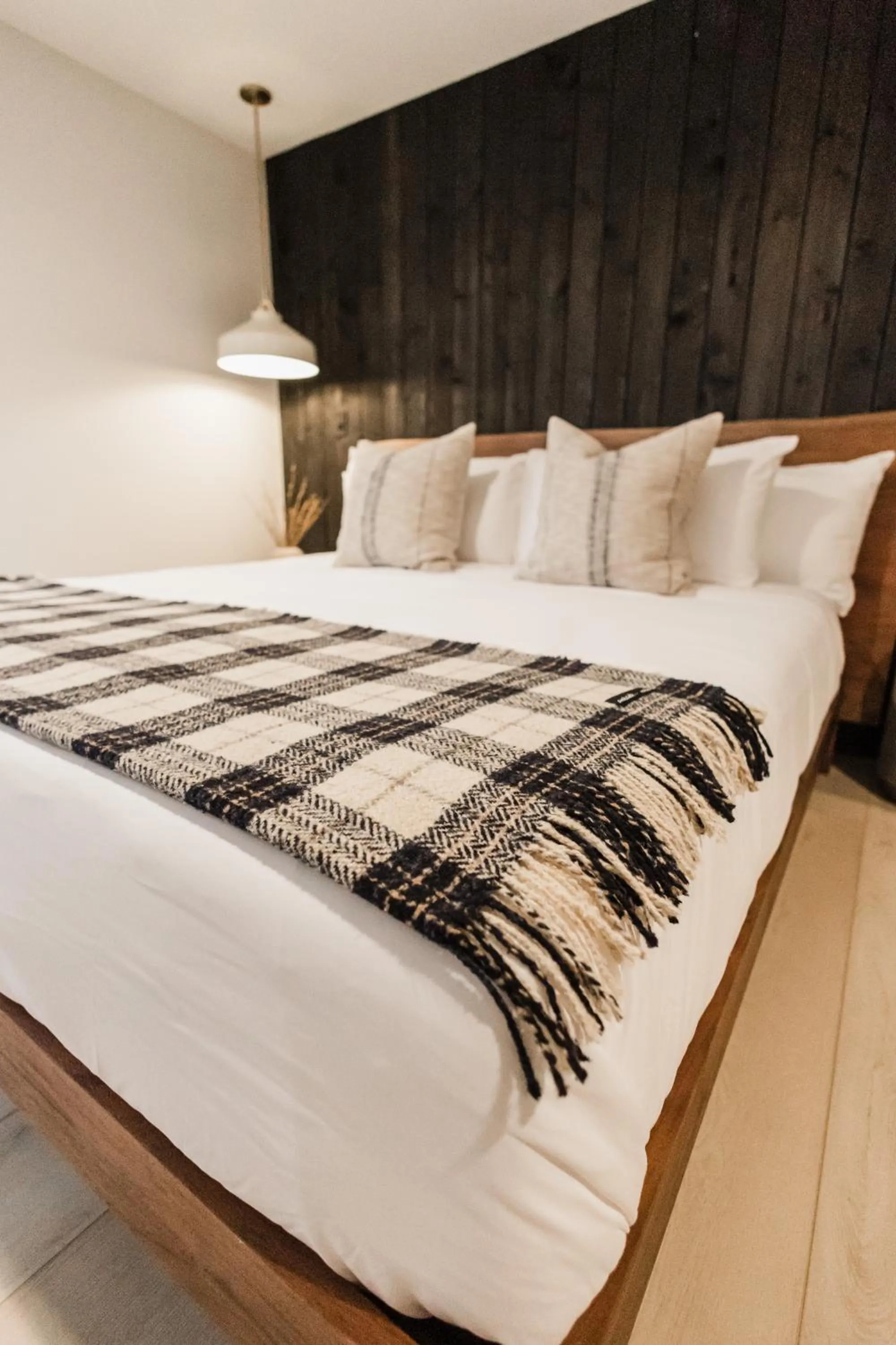 Bed in Wonderstone at Glacier