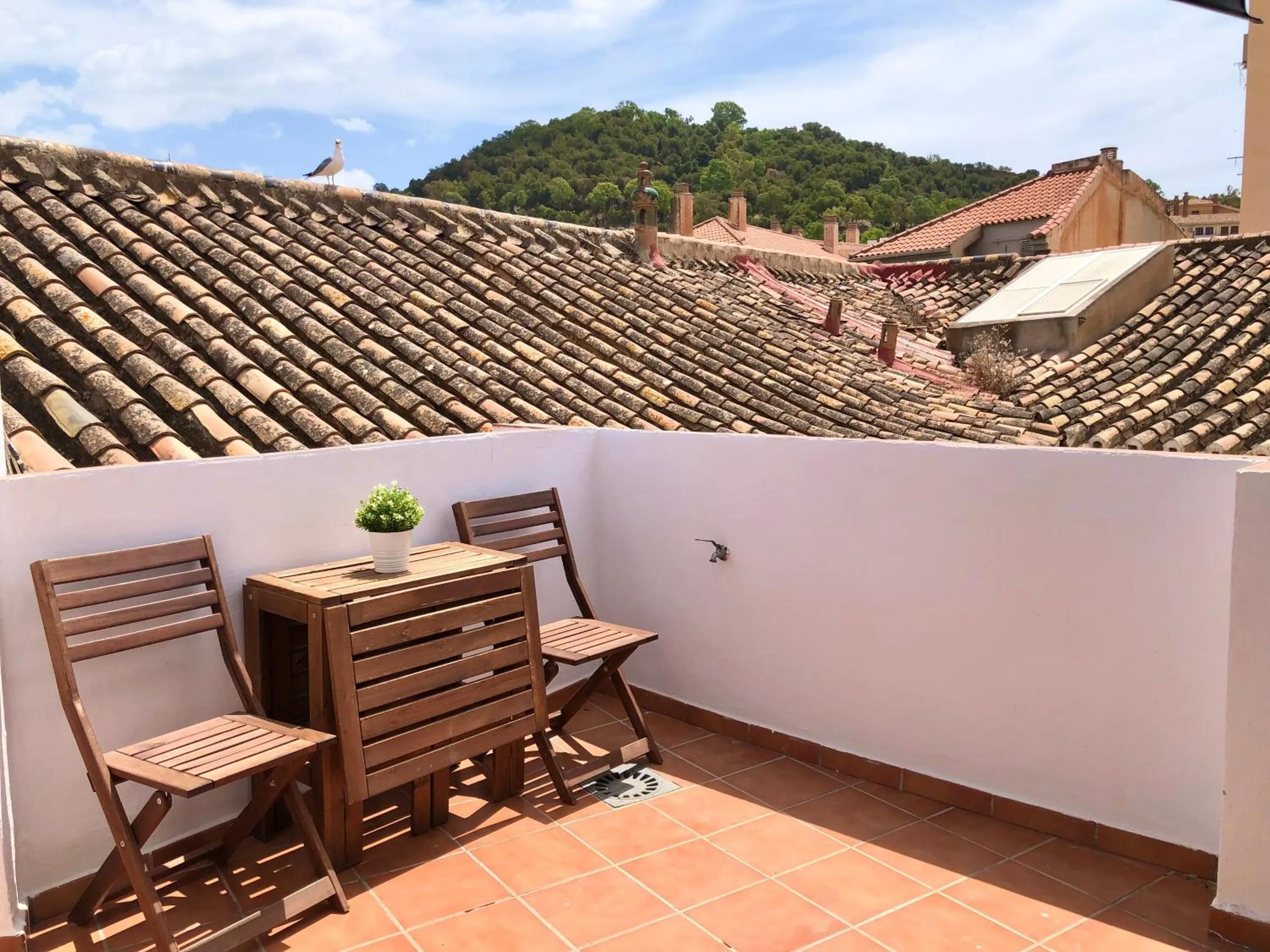 Garden in Suites La Merced