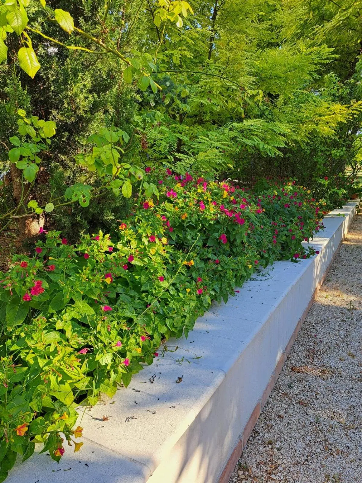 Garden view in La Casa nel Verde